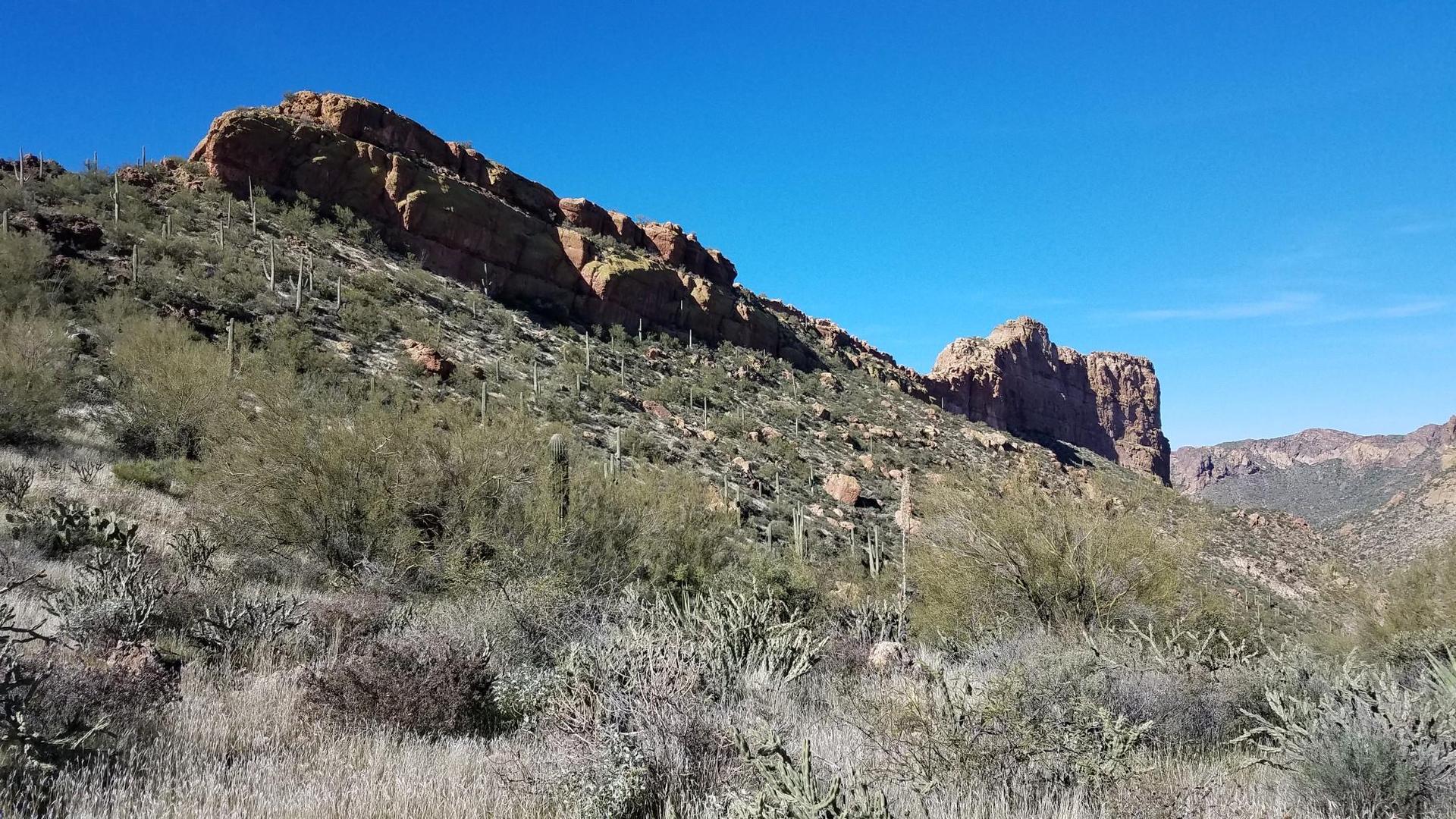 Rocky desert mountainside with saguaro cacti and sparse vegetation under a clear blue sky.