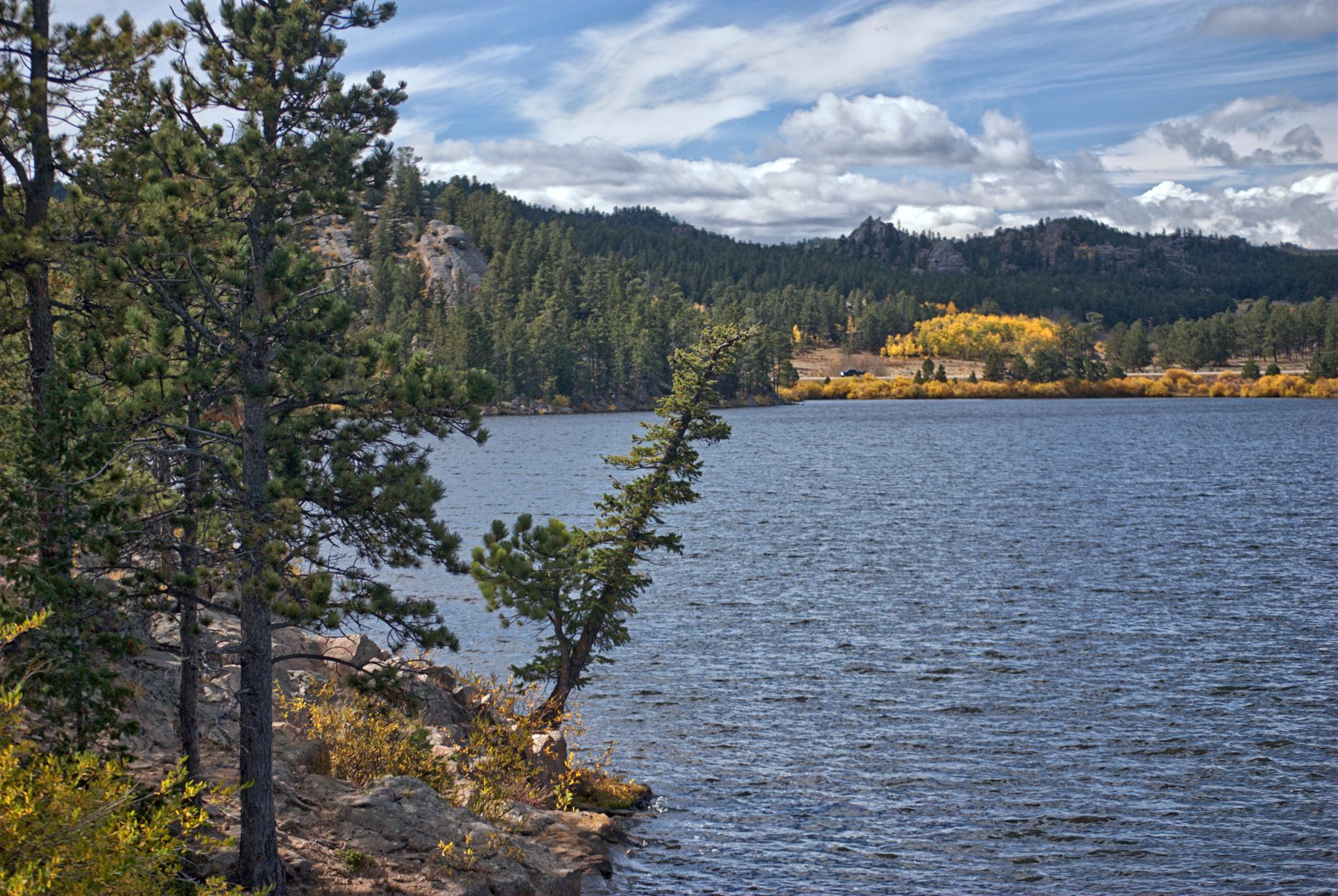 Pine trees on a rocky shore overlooking a lake with autumn foliage.