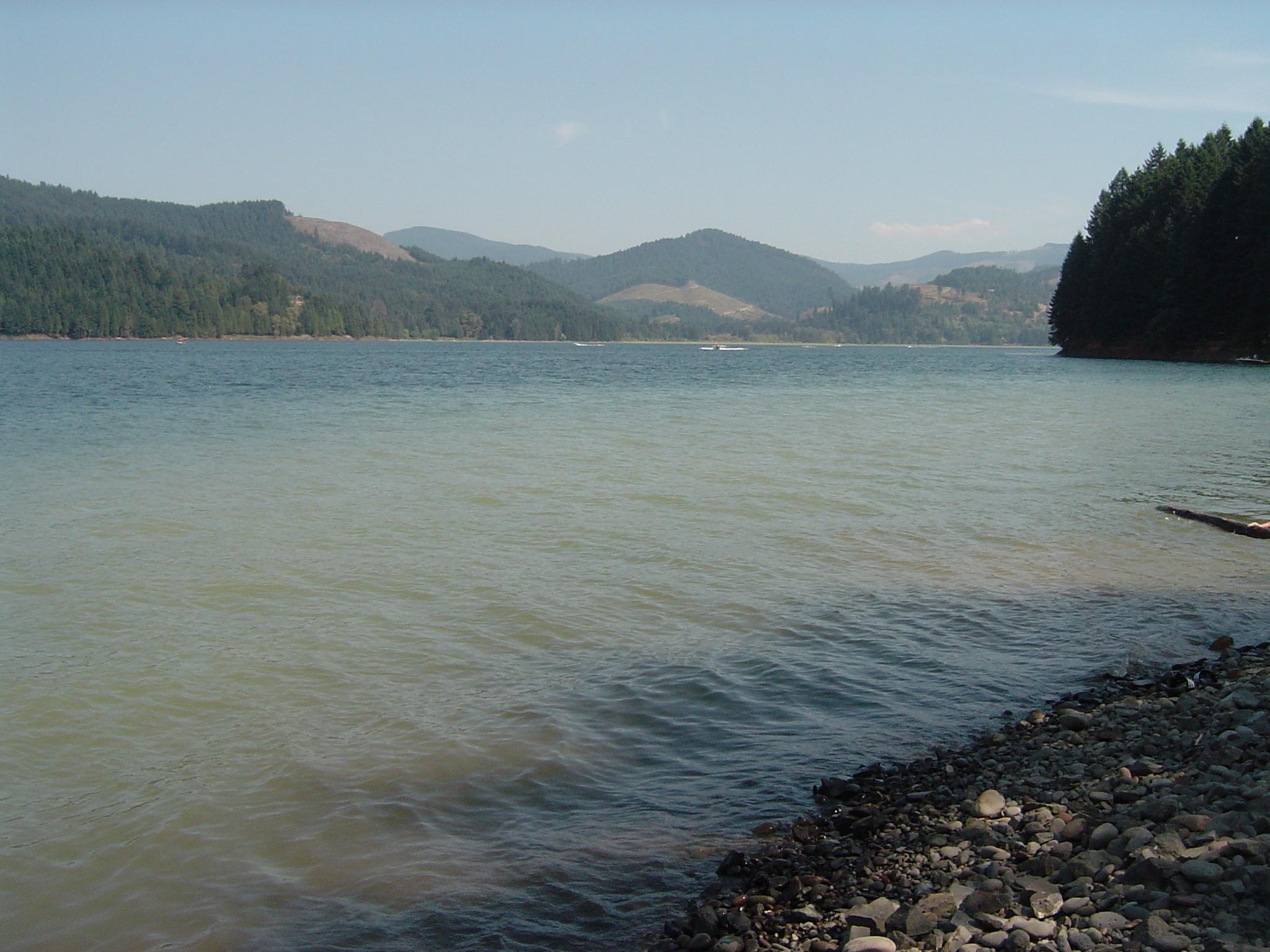 Wide lake with distant mountains and forest under a clear blue sky.