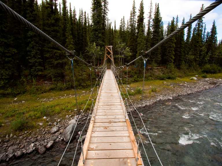 Boucle McKinley Station Trail et pont suspendu du Riley Creek ...