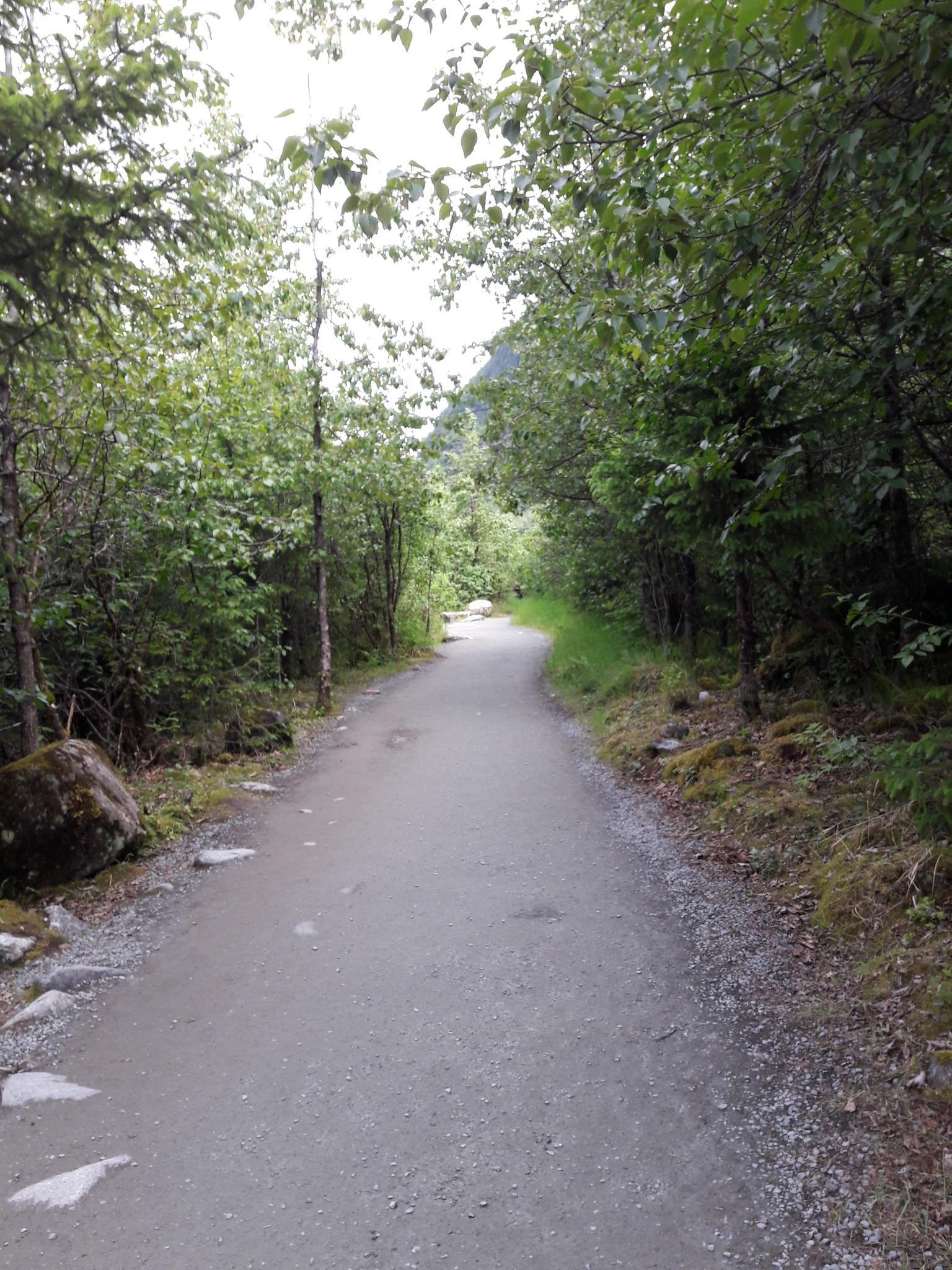 A winding gravel path through a dense, green forest under an overcast sky.