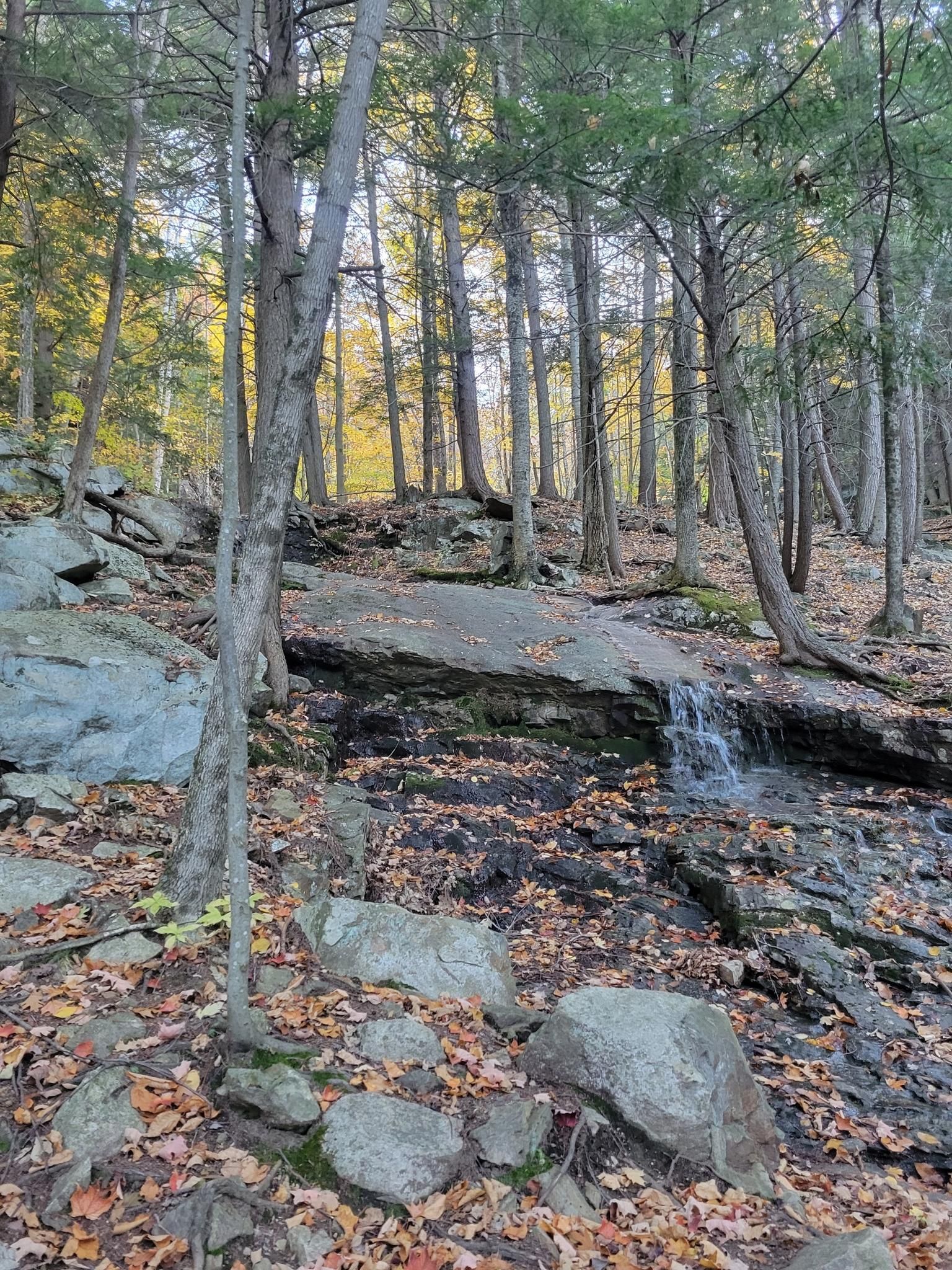 Autumn forest scene with a small waterfall cascading over rocks and leaves. - Weathersfield Trail