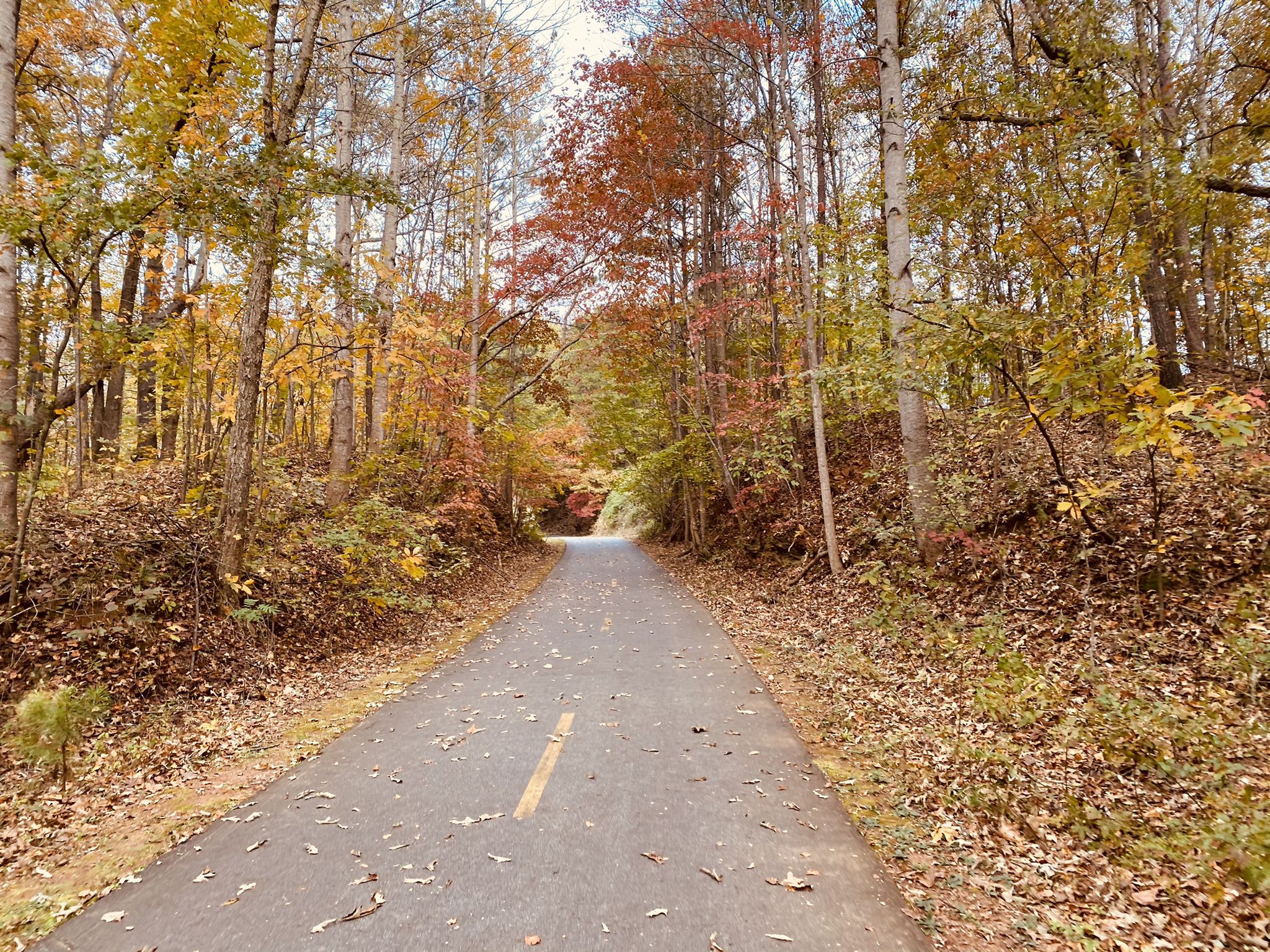 Paved path lined with vibrant autumn trees and fallen leaves. - Silver Comet Trail
