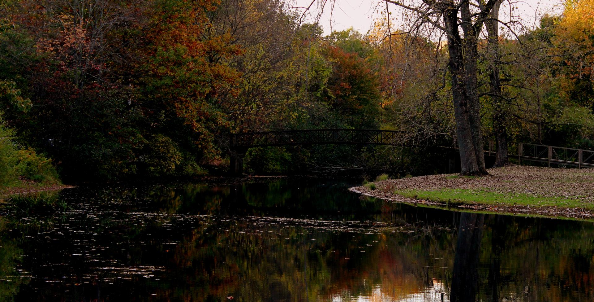 Dark pond reflecting autumn trees and a small bridge under dim light.