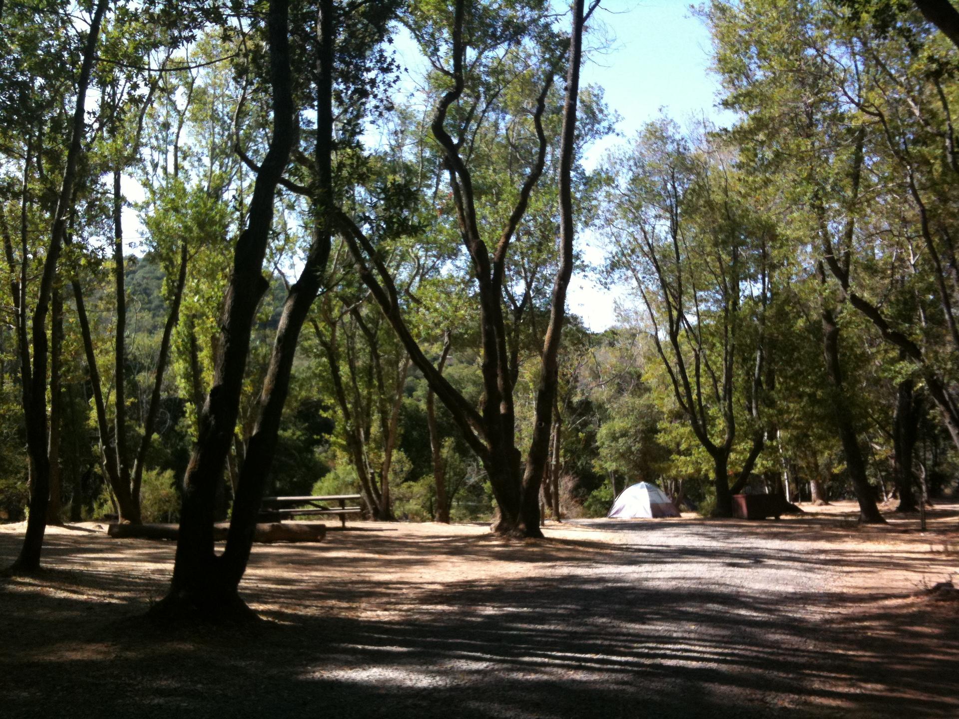 Shady forest campsite with a picnic table and white tent in dappled light.
