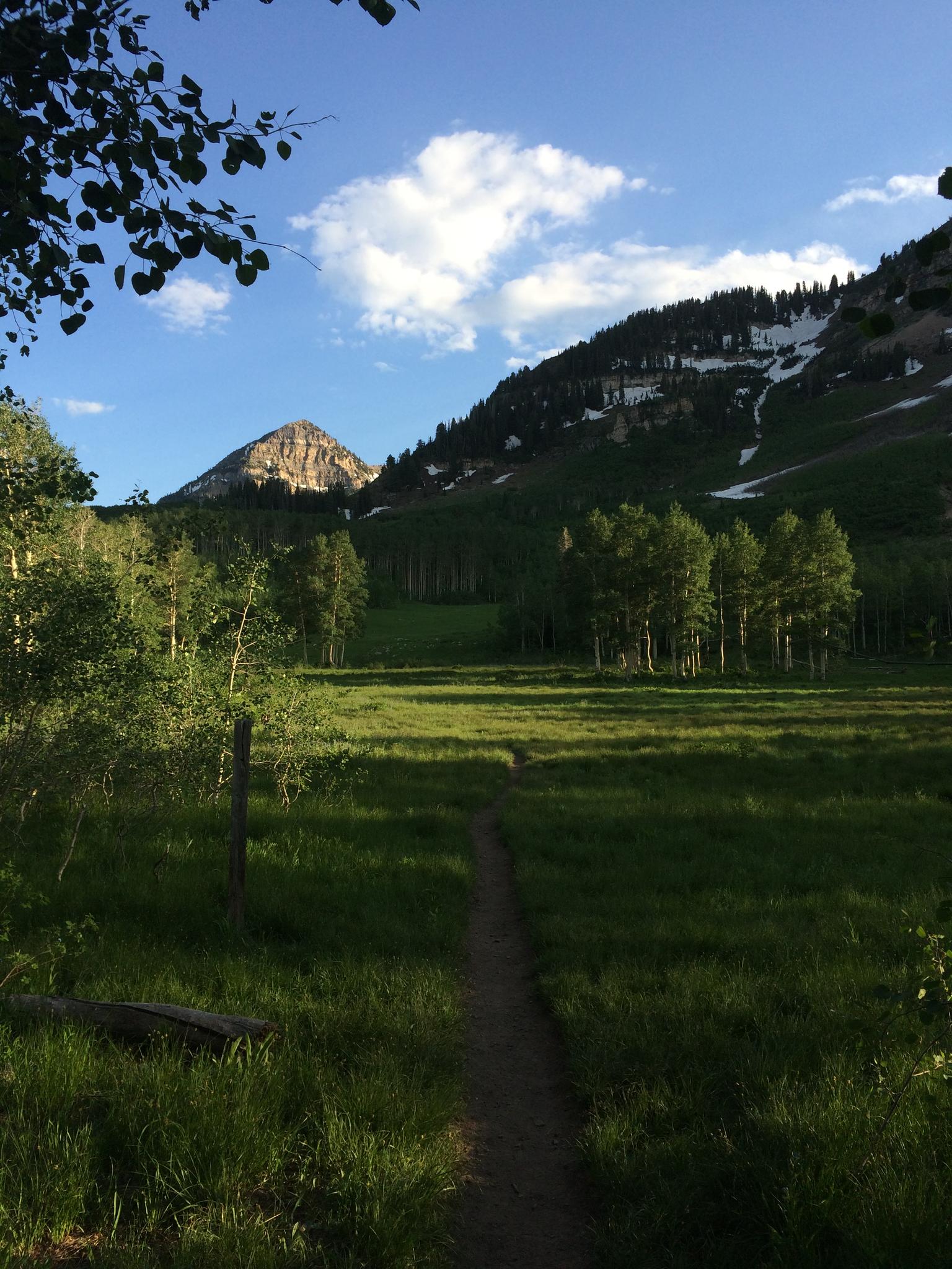 A dirt path through a sunlit meadow leads to mountains under a blue sky.
