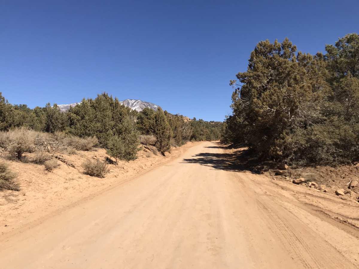 A dirt road winds through arid landscape towards a distant snowy mountain.