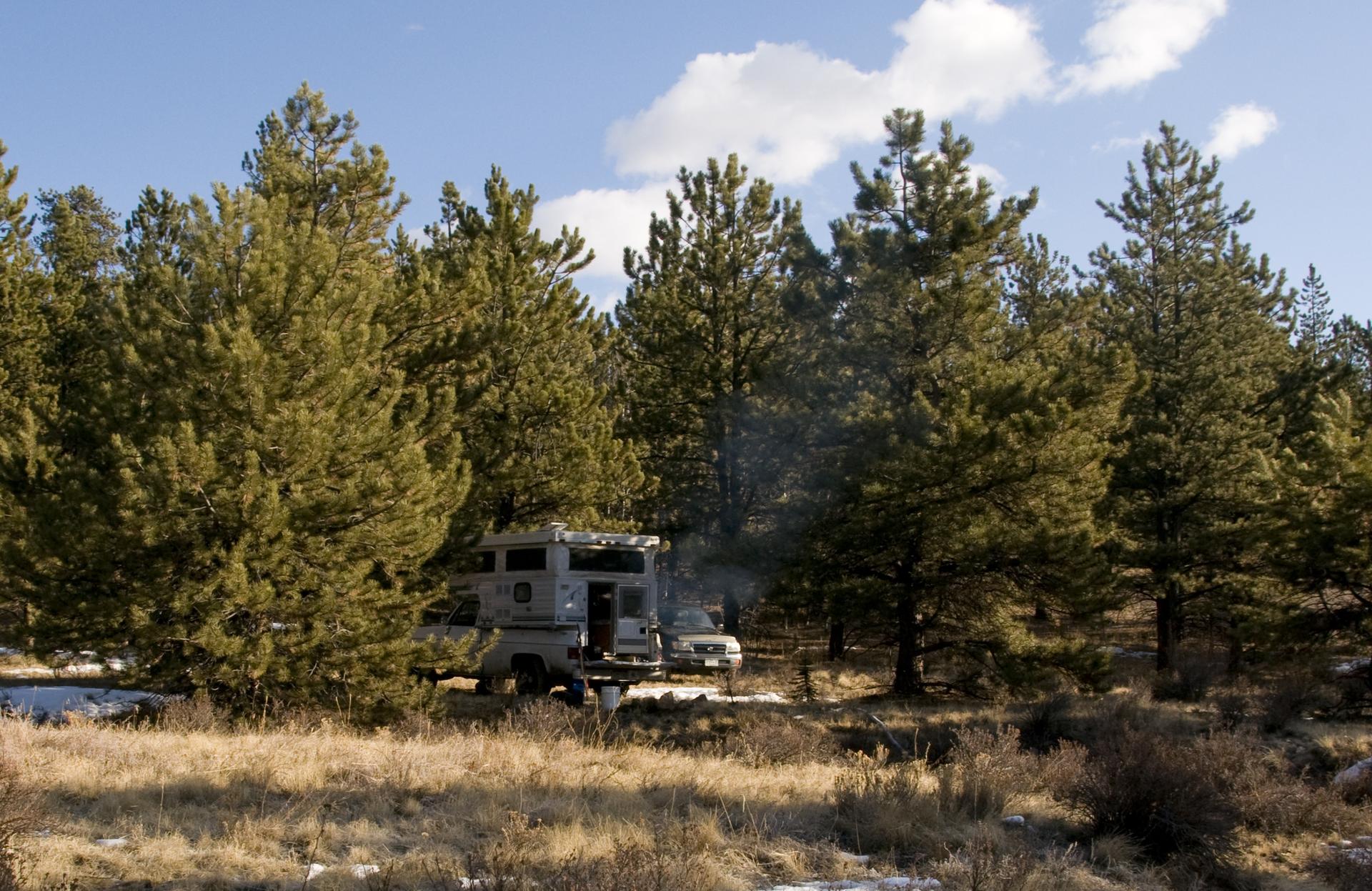 A camper truck is parked among pine trees under a partly cloudy sky.