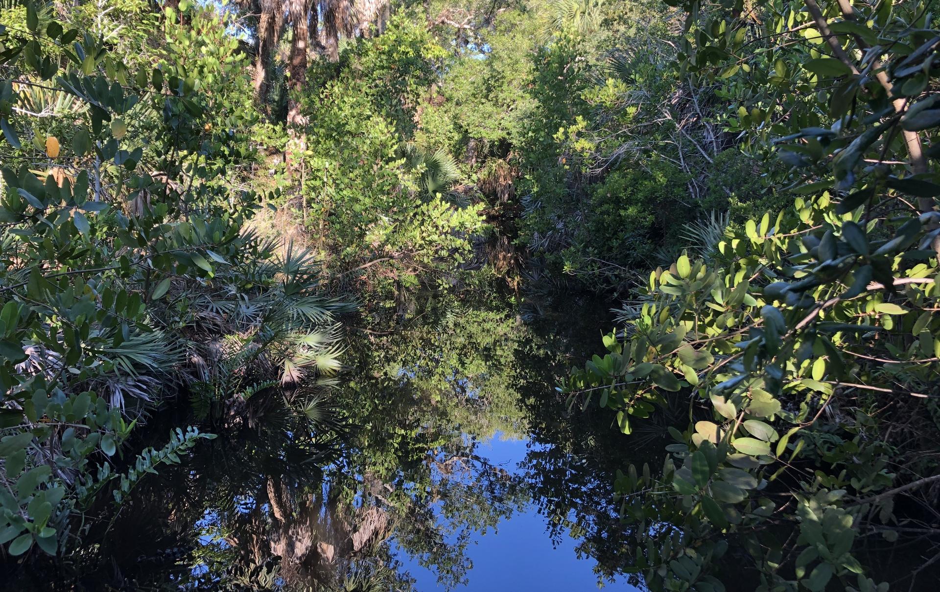 Lush green foliage frames a calm water channel reflecting the bright sky.