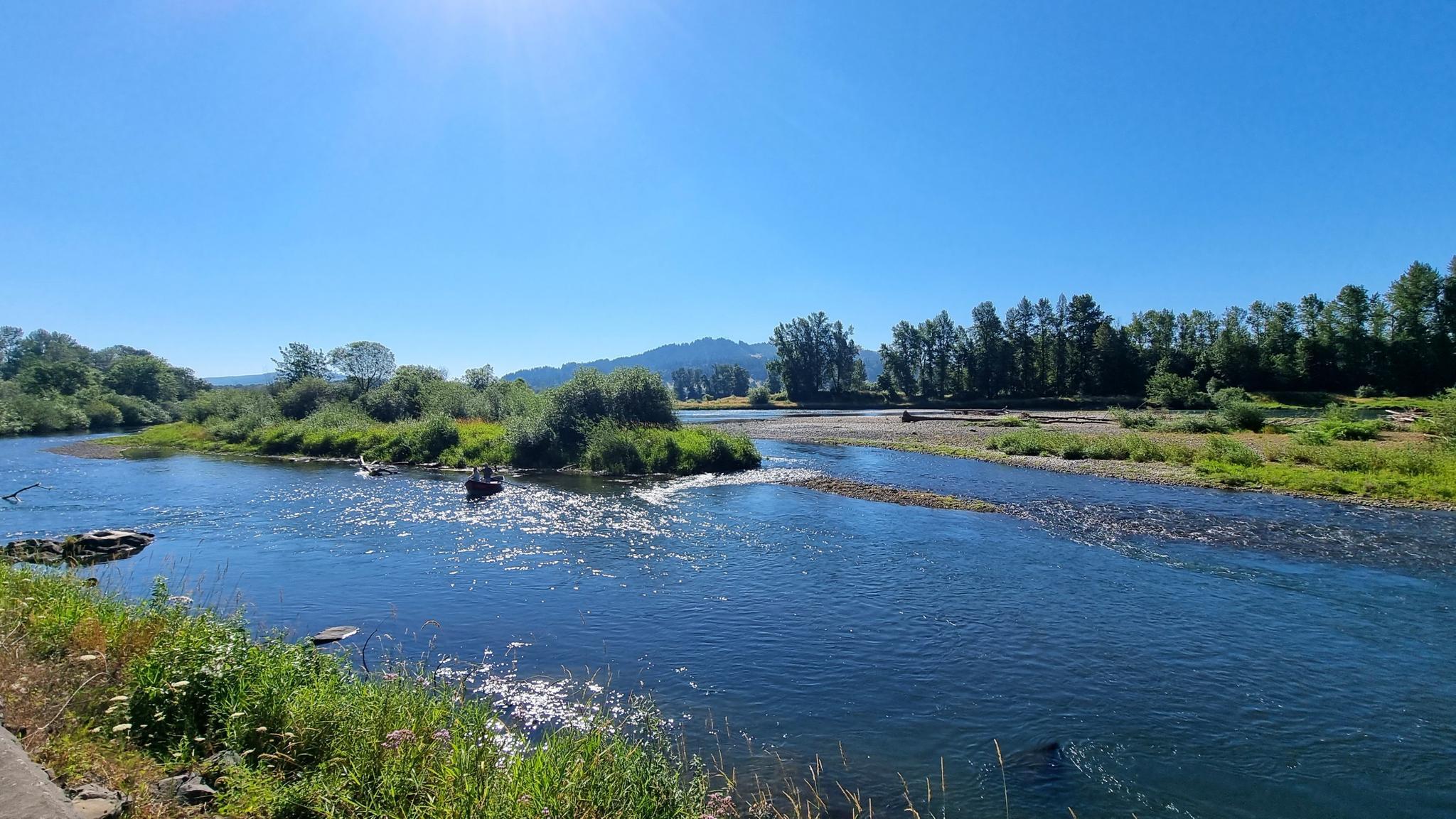 Wide river with islands, surrounded by green trees under bright sun.