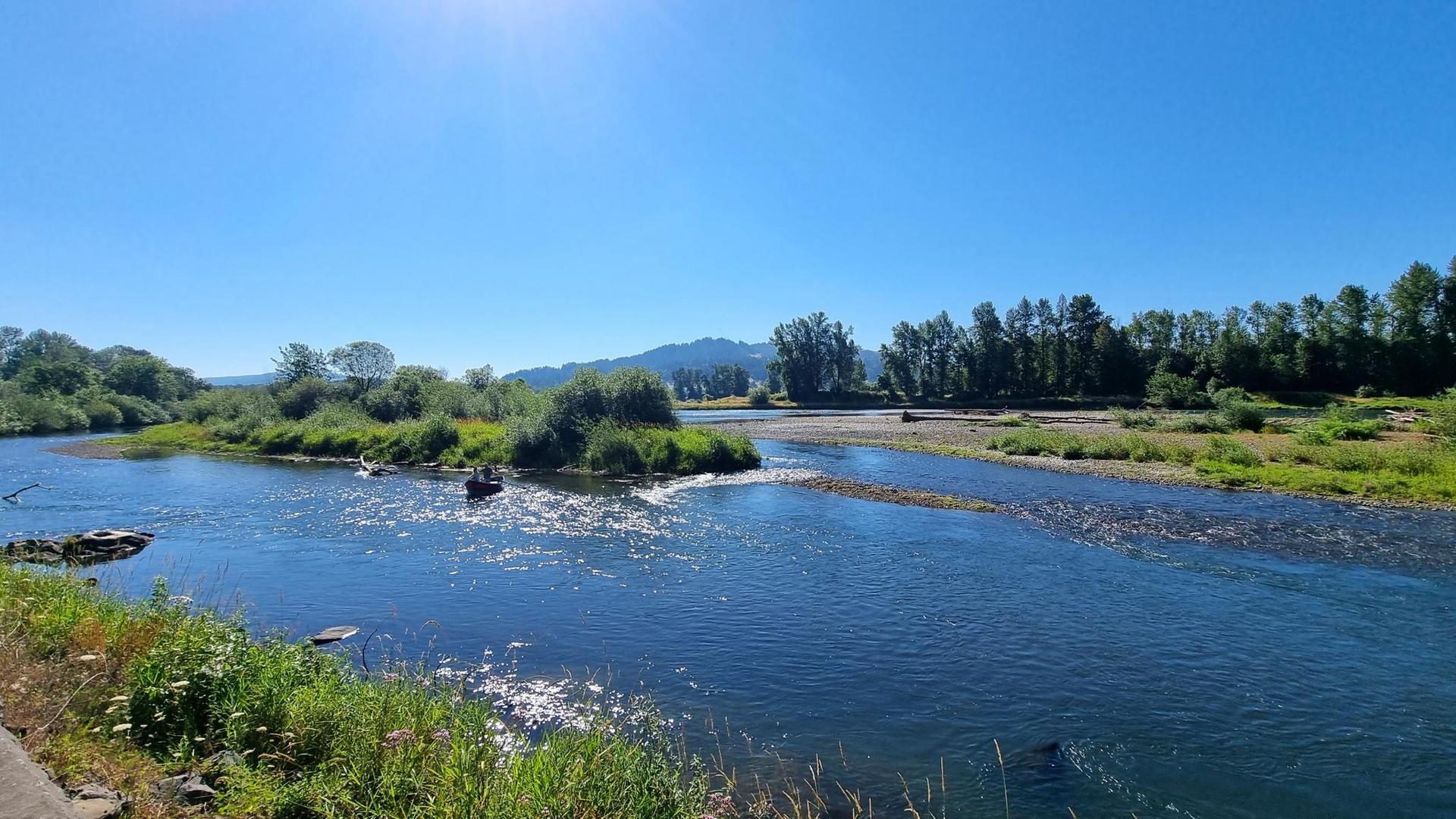 Wide river with islands, surrounded by green trees under bright sun.