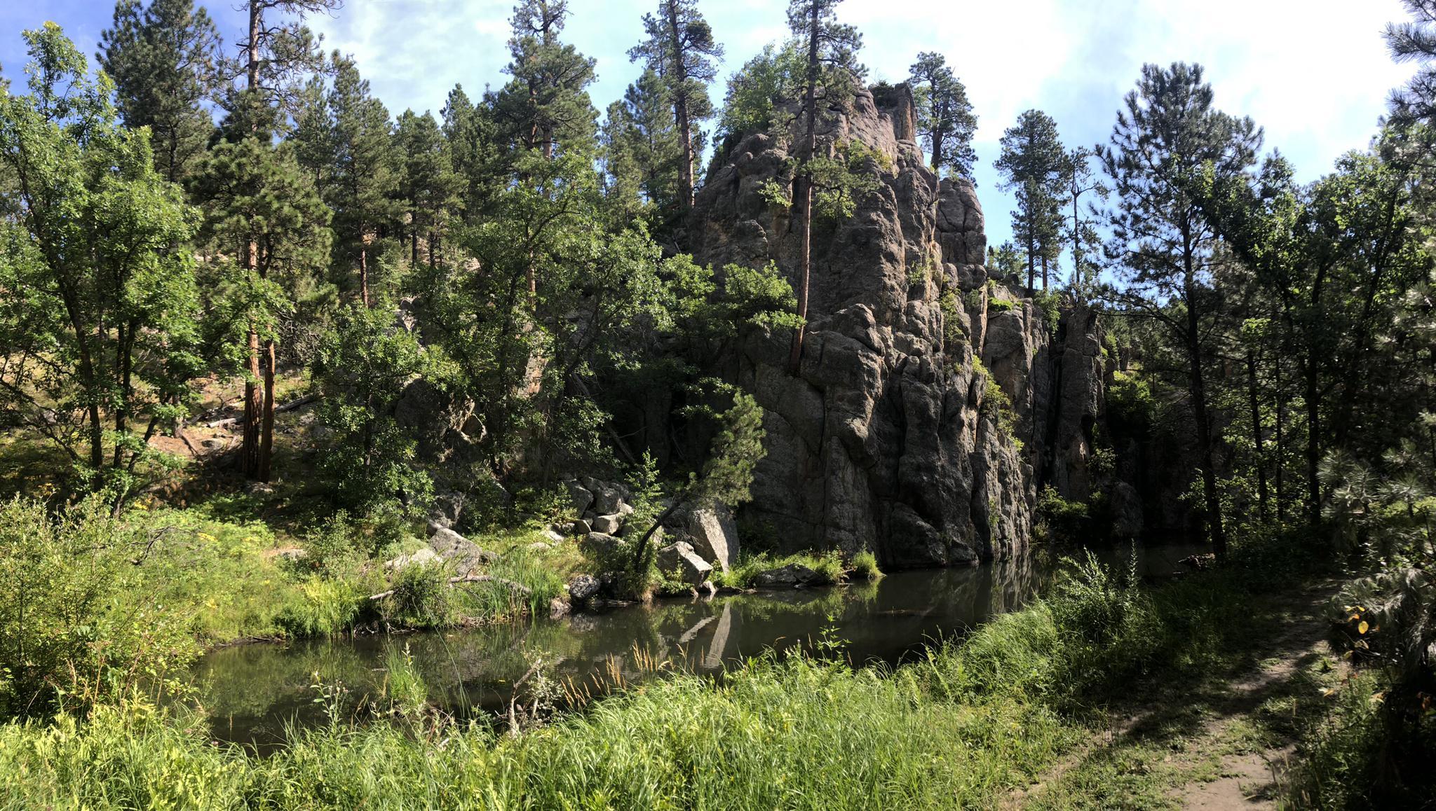 Sunny forest scene with rocky cliffs overlooking a calm pond.