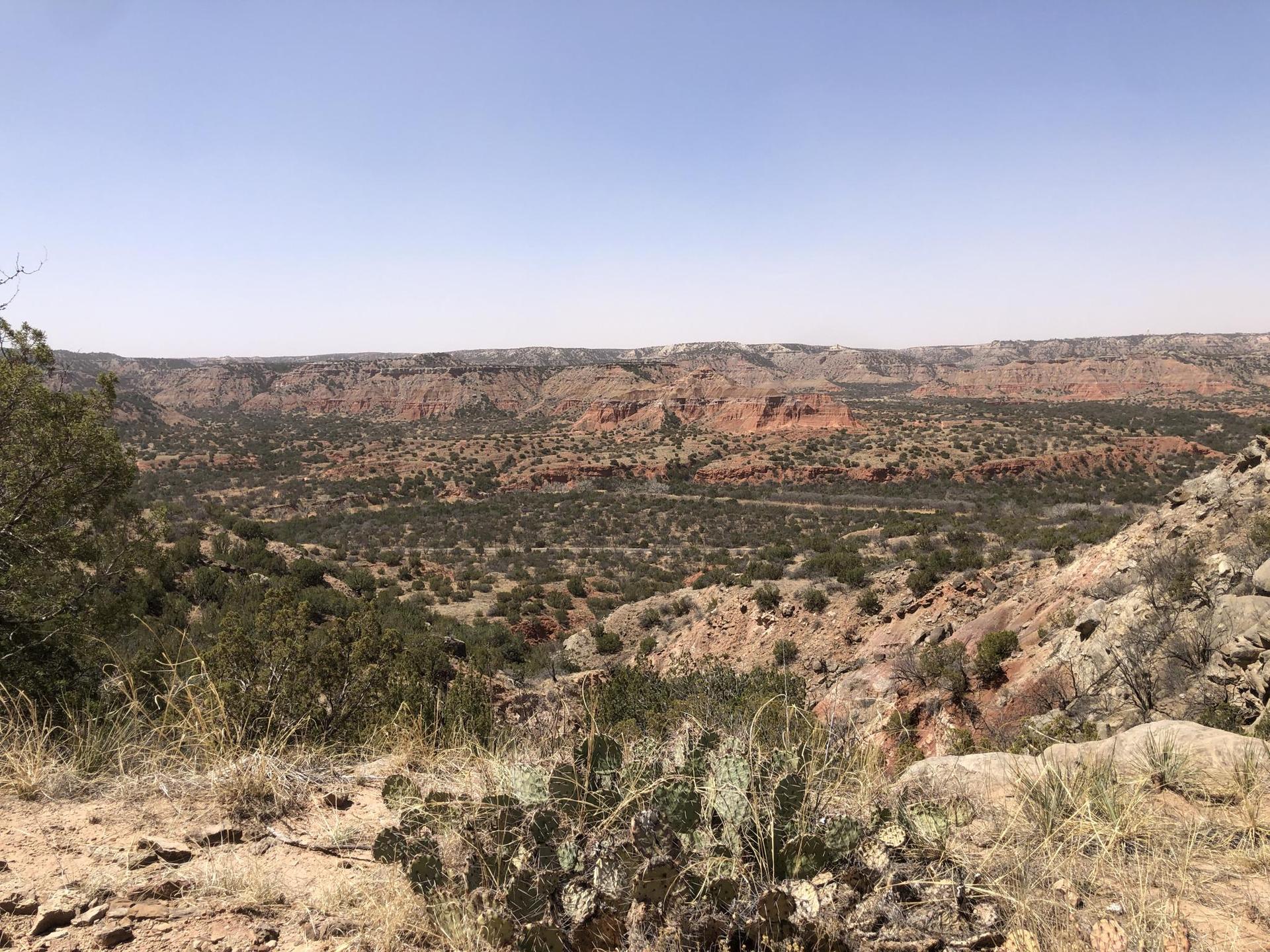 Wide panoramic view of a vast desert canyon landscape with sparse vegetation.