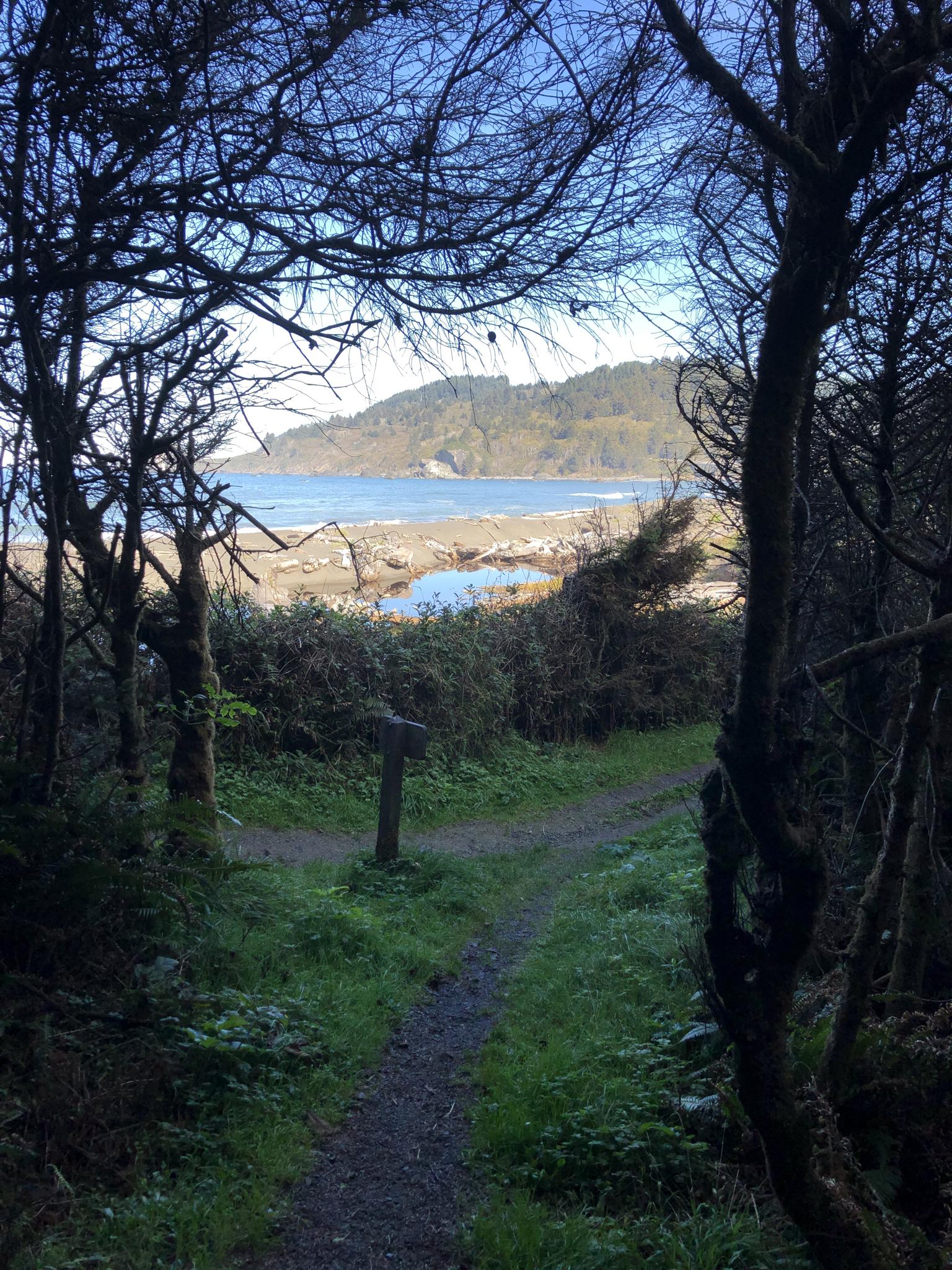 Forest path leading to a bright bay with a distant forested hill.