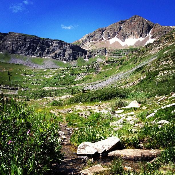 Bright mountain valley with a stream, green foliage, and snow-capped peaks under blue sky.