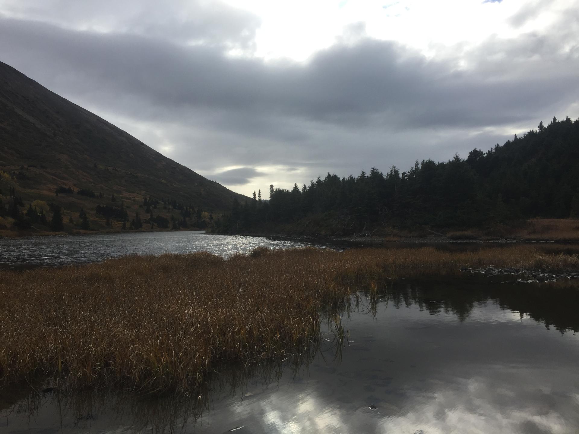 Overcast sky above a dark lake, mountains, and forest.