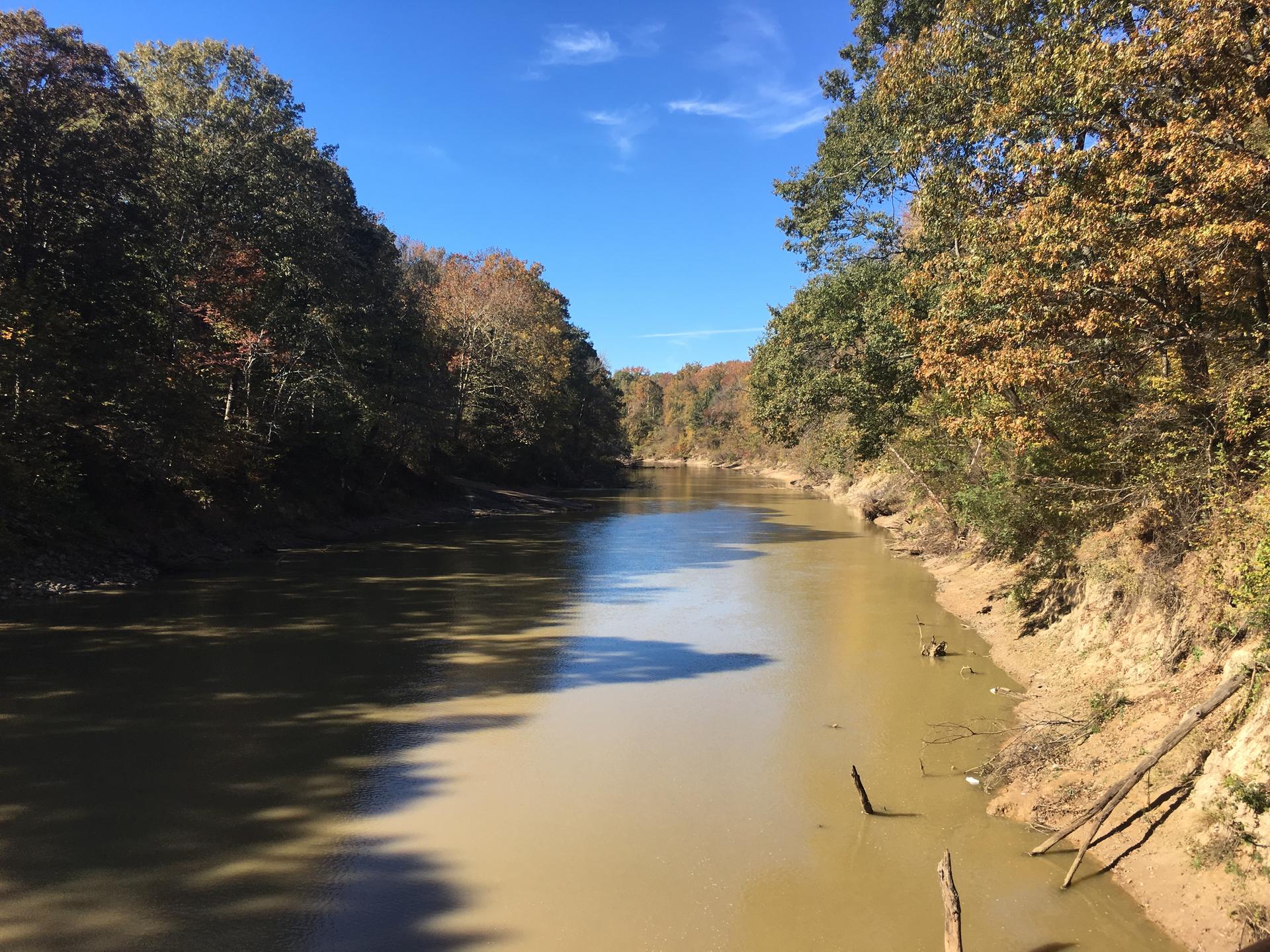 Muddy river flowing between tree-lined banks under a clear blue sky.