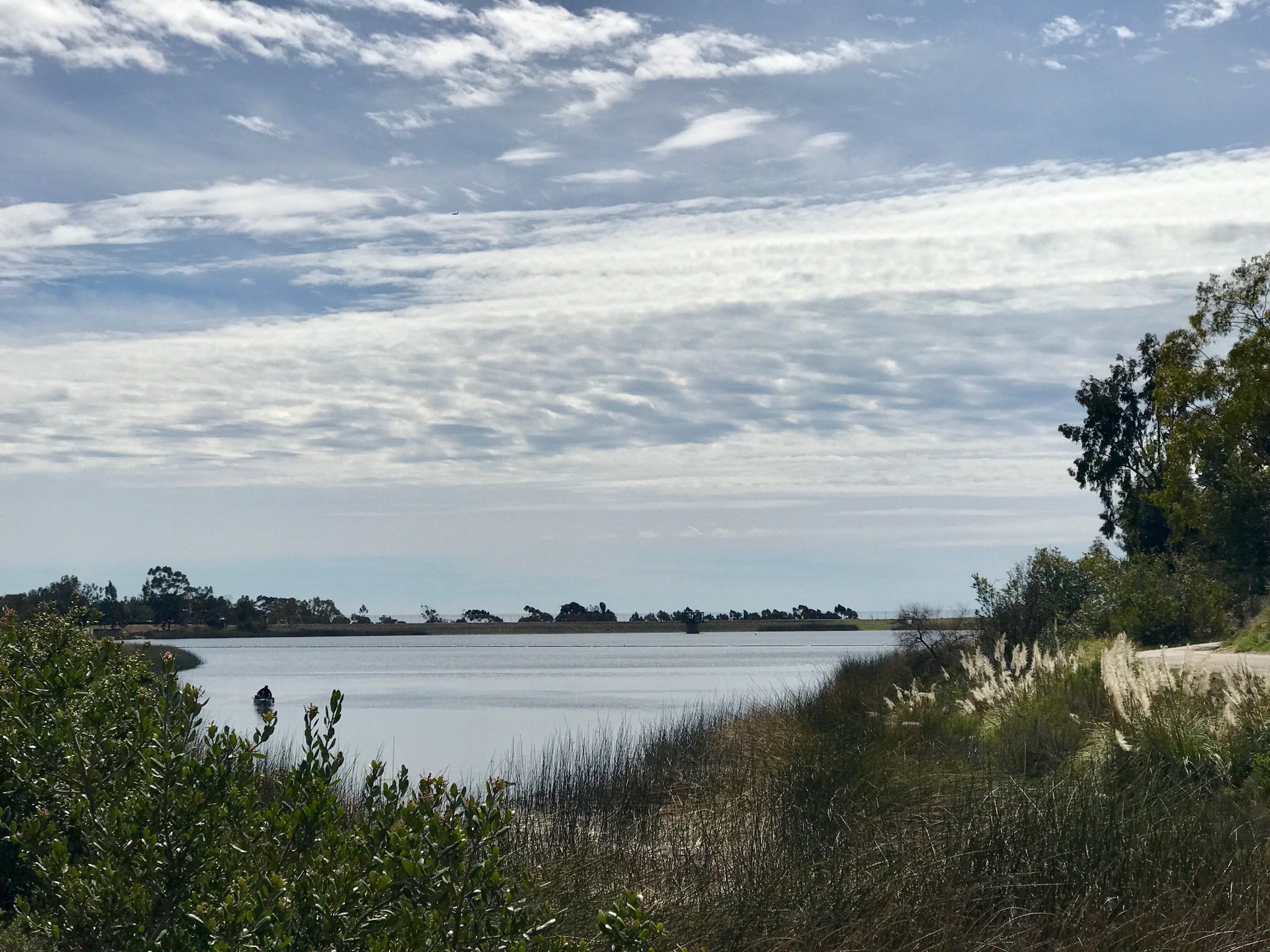 Wide lake with grassy shores under a cloudy, diffused light sky. - Lake Miramar – Lake Miramar loop from Meadowbrook Ecological Reserve