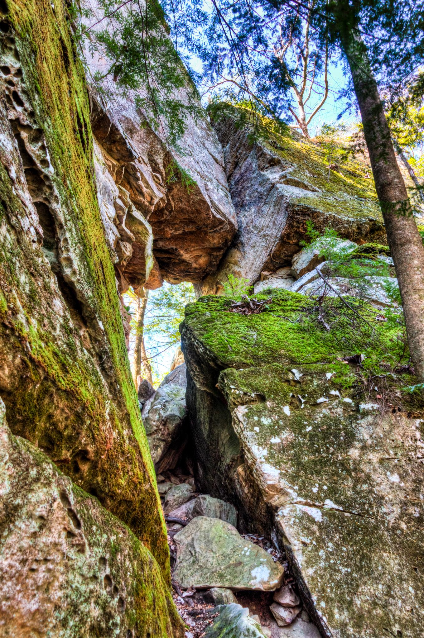Narrow, mossy rock passage with towering cliffs and bright sky.
