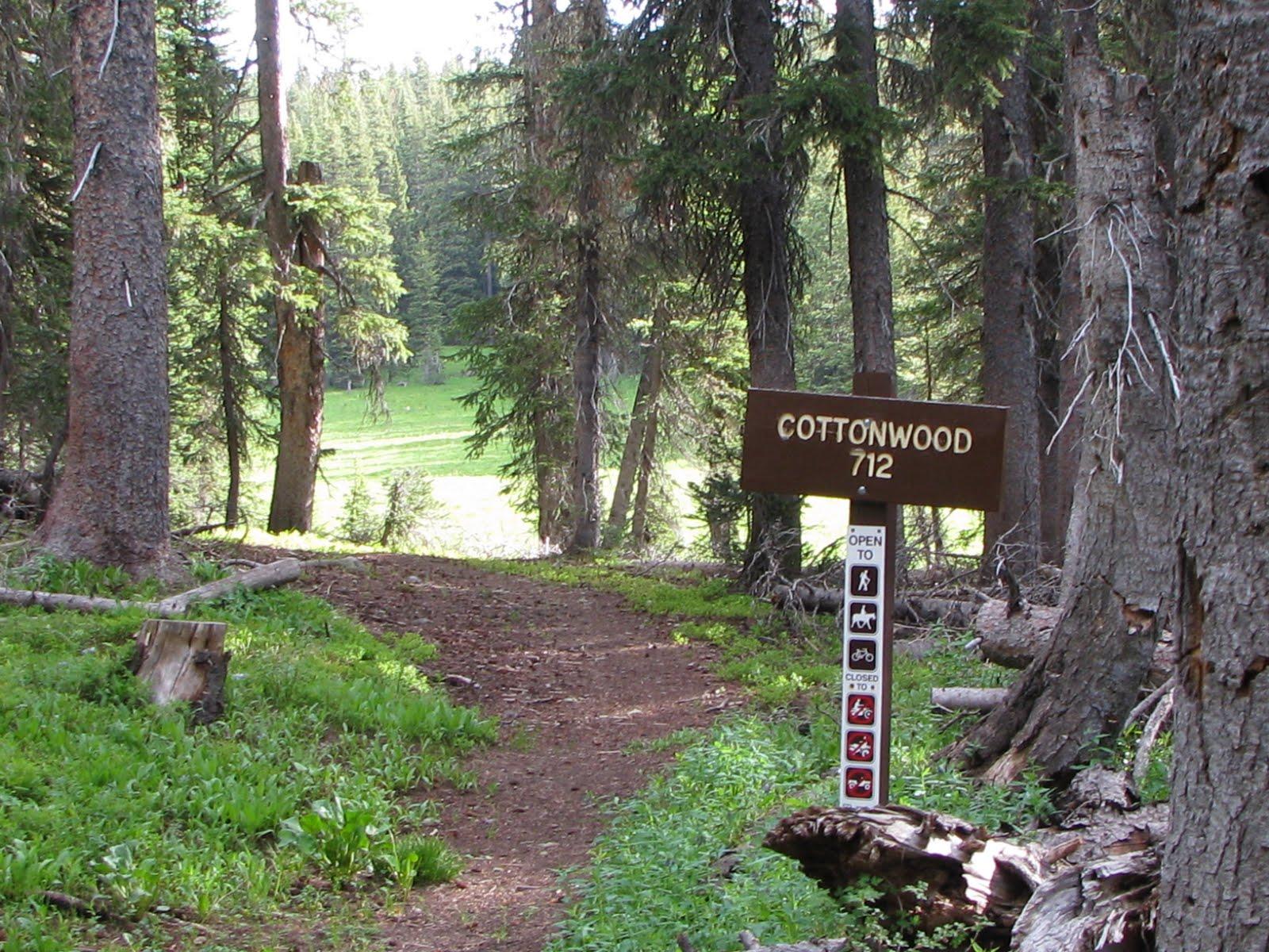 A dirt trail leads through a shaded forest towards a sunny clearing.