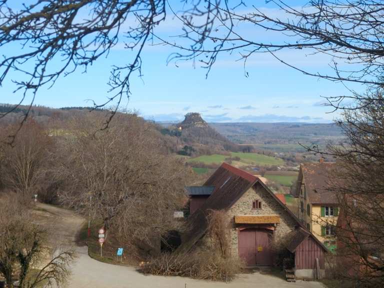 Hotel Hohentwiel: Wanderungen Und Rundwege 