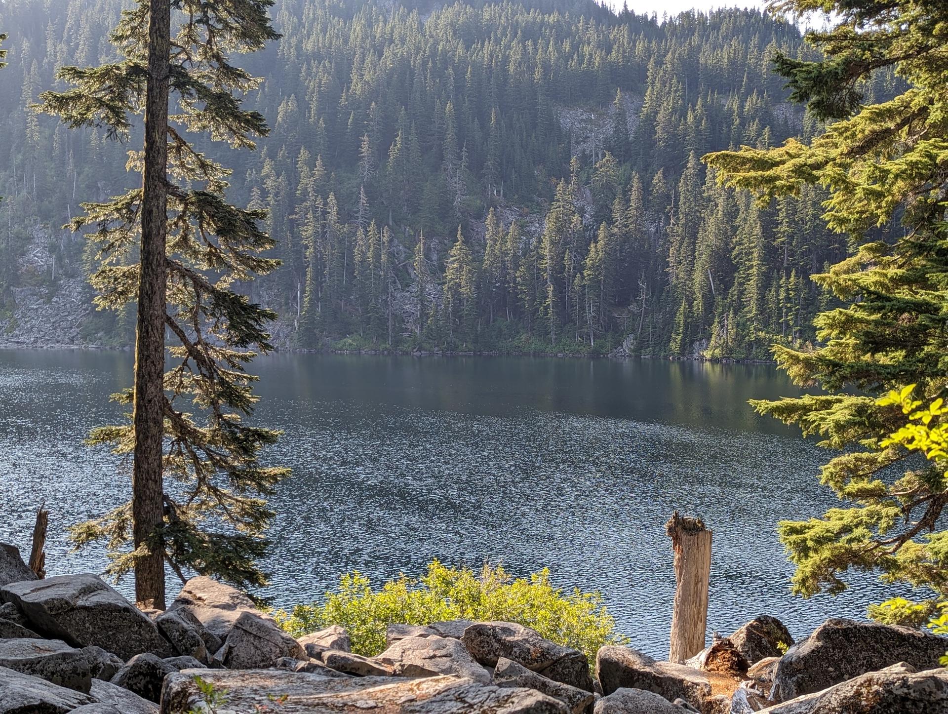 Sunny view of a dark lake framed by tall trees and large rocks.