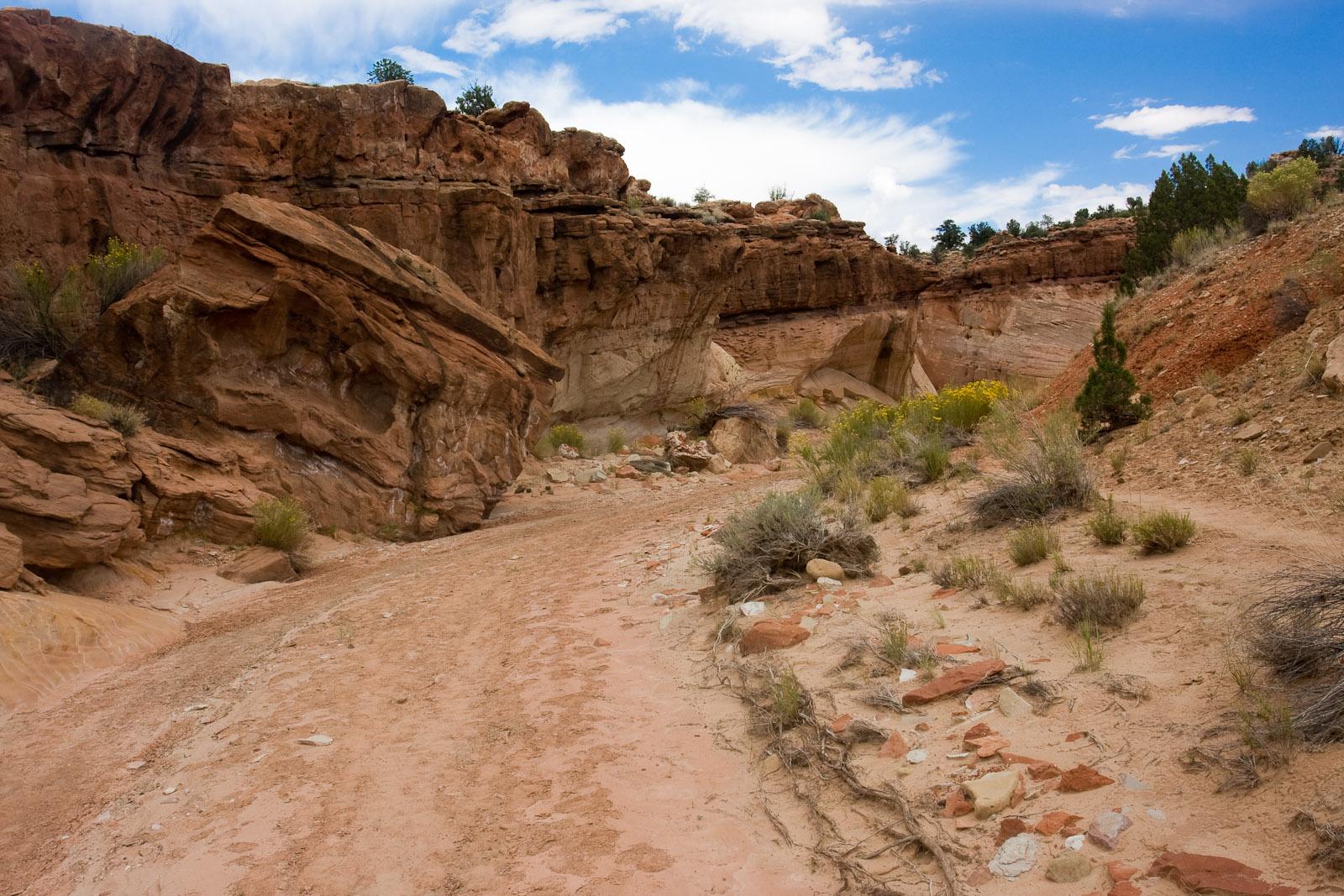 A sandy path winds through a rocky desert canyon under a blue sky.