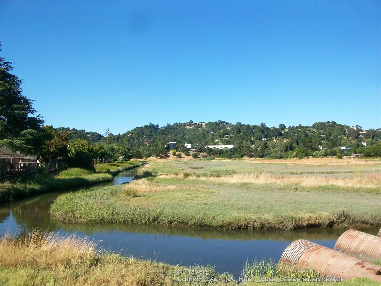 A winding creek flows through a green marshland under a clear blue sky.