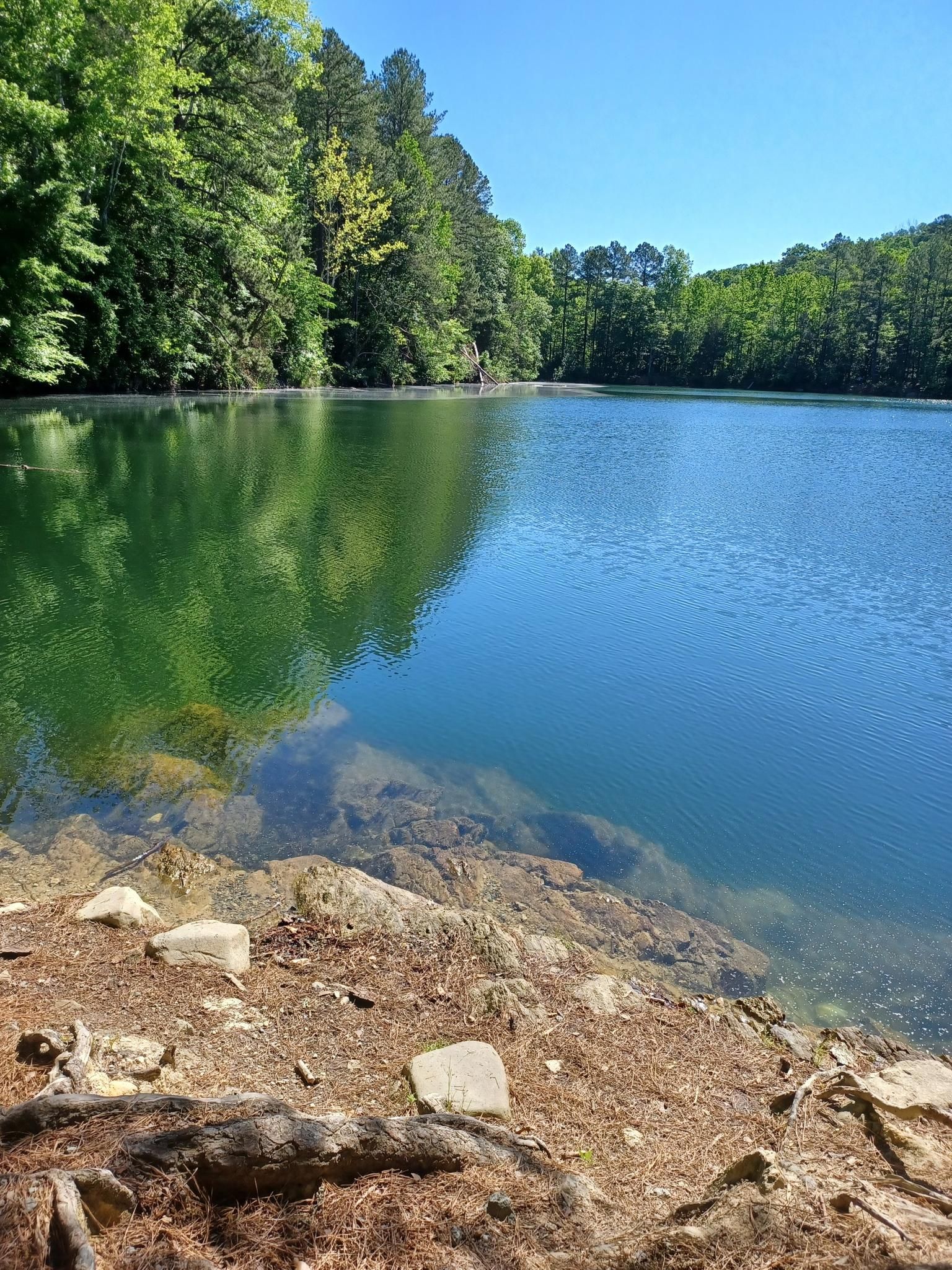 A calm blue lake surrounded by green trees under a clear sky. - Laurel Bluffs and Eno Quarry Trail Loop