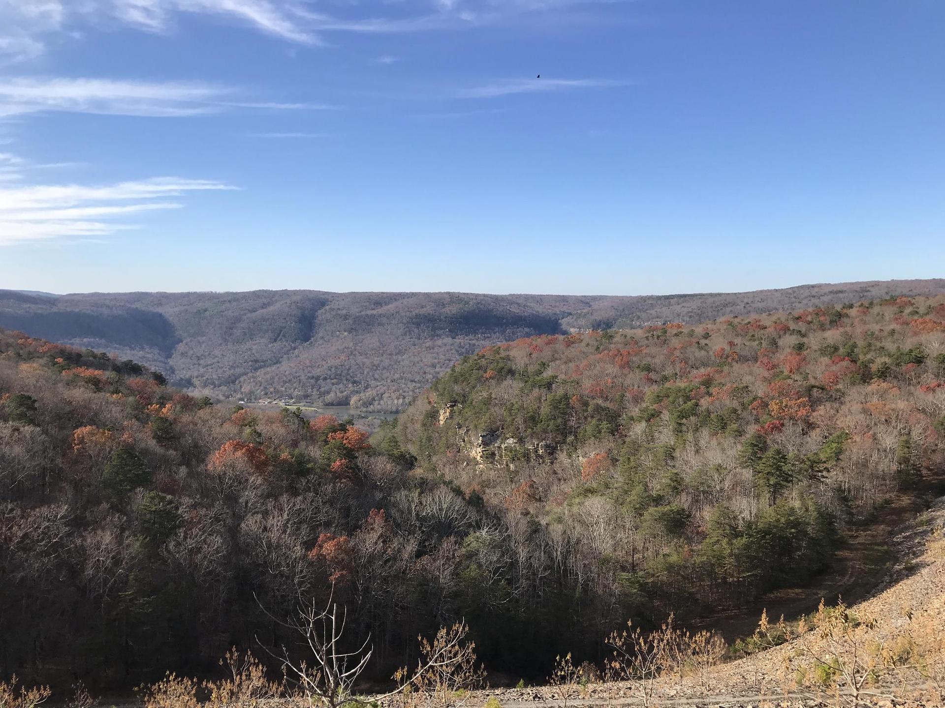 Expansive forested valley with autumn colors under a bright blue sky.