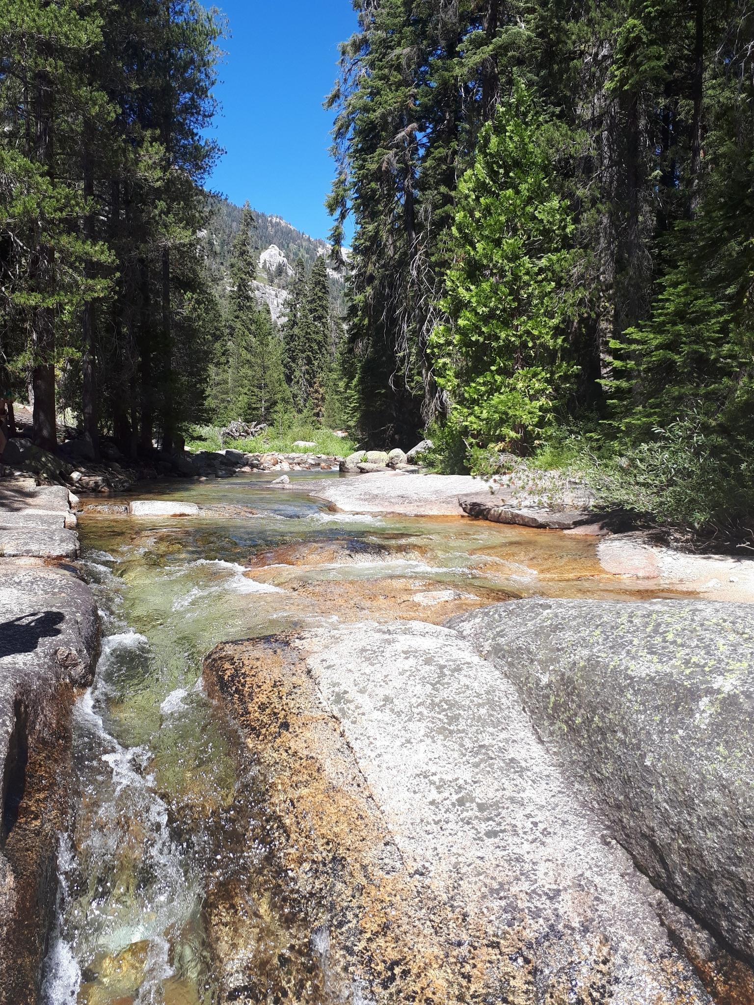 Clear stream flowing over sunlit rocks through a lush forest valley.