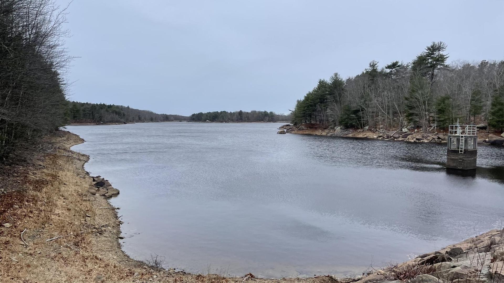 Overcast view of a lake with bare trees, rocky shores, and a water tower.