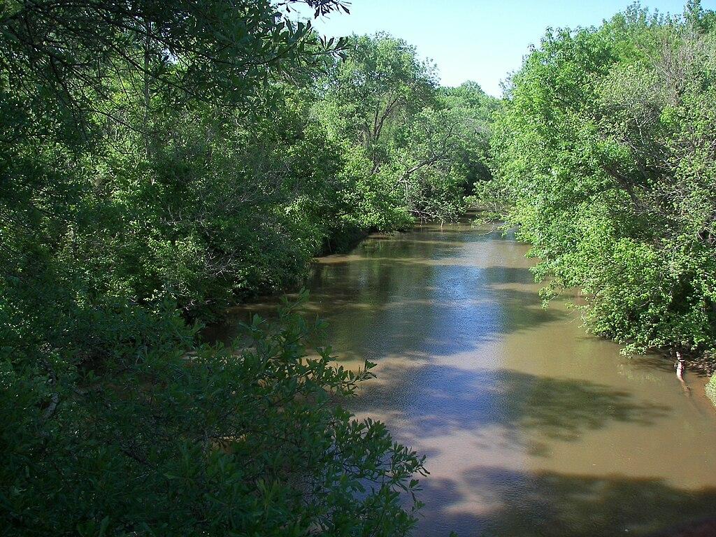 A winding river flows through dense green forest under bright daylight.