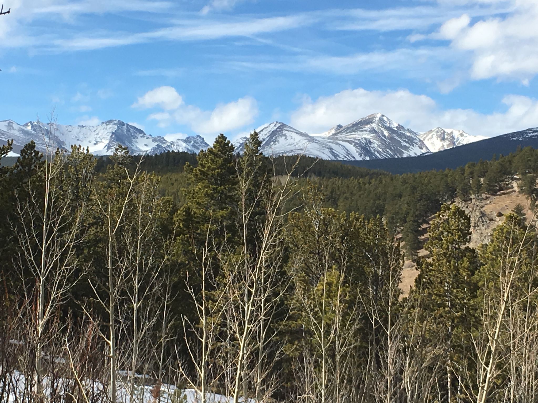Snow-capped mountains rise above a dense pine forest on a clear day. - Gordon Gulch Trail
