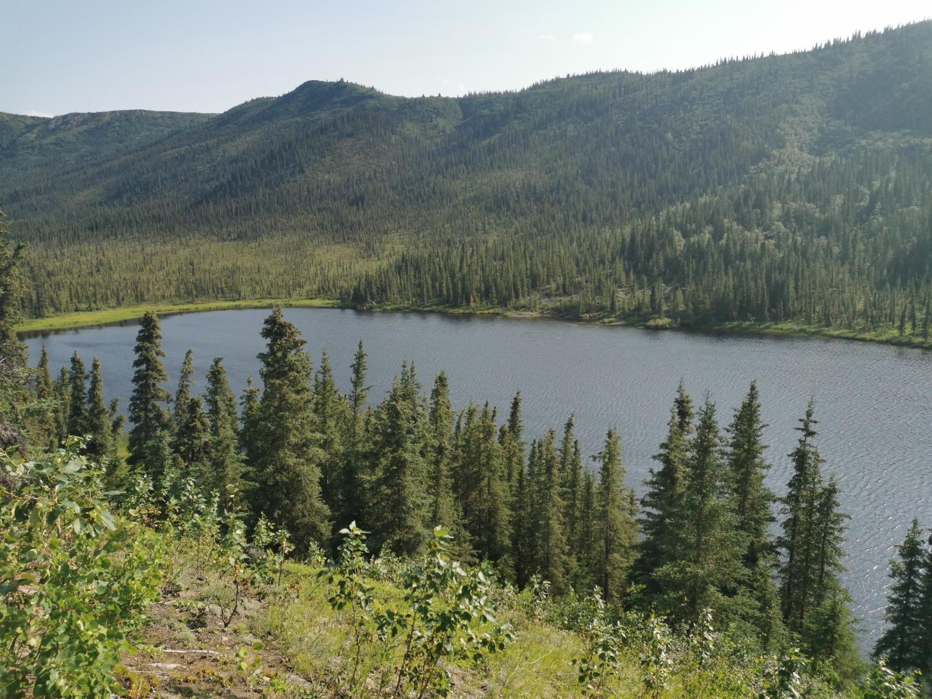 A serene dark lake surrounded by dense green forest and hills.