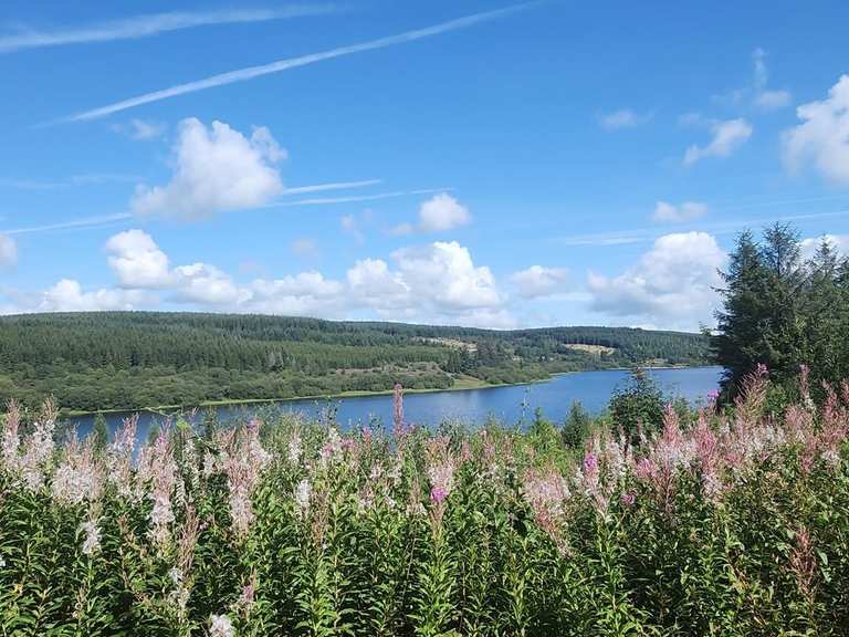 Anello di Trecastle e Myddfai dal bacino di Usk – Parco nazionale di ...