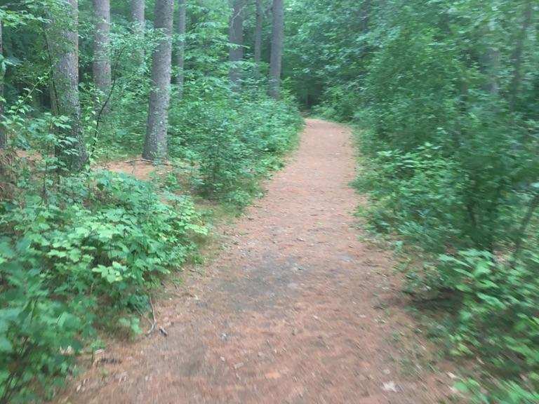 Sewall's Falls State Recreation Area and Concord Rotary Island Park ...