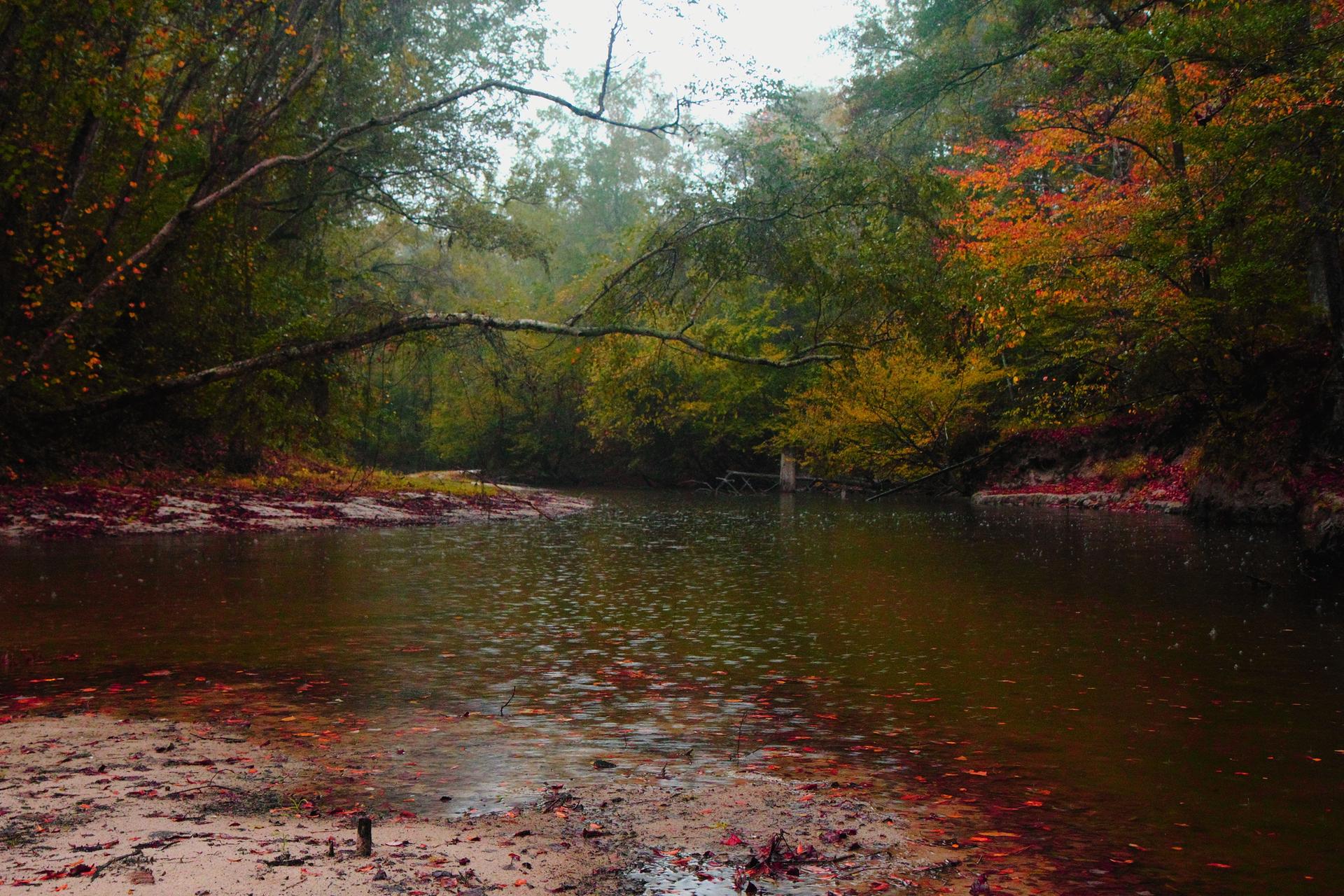 Dark river flows through a forest with vibrant autumn foliage.