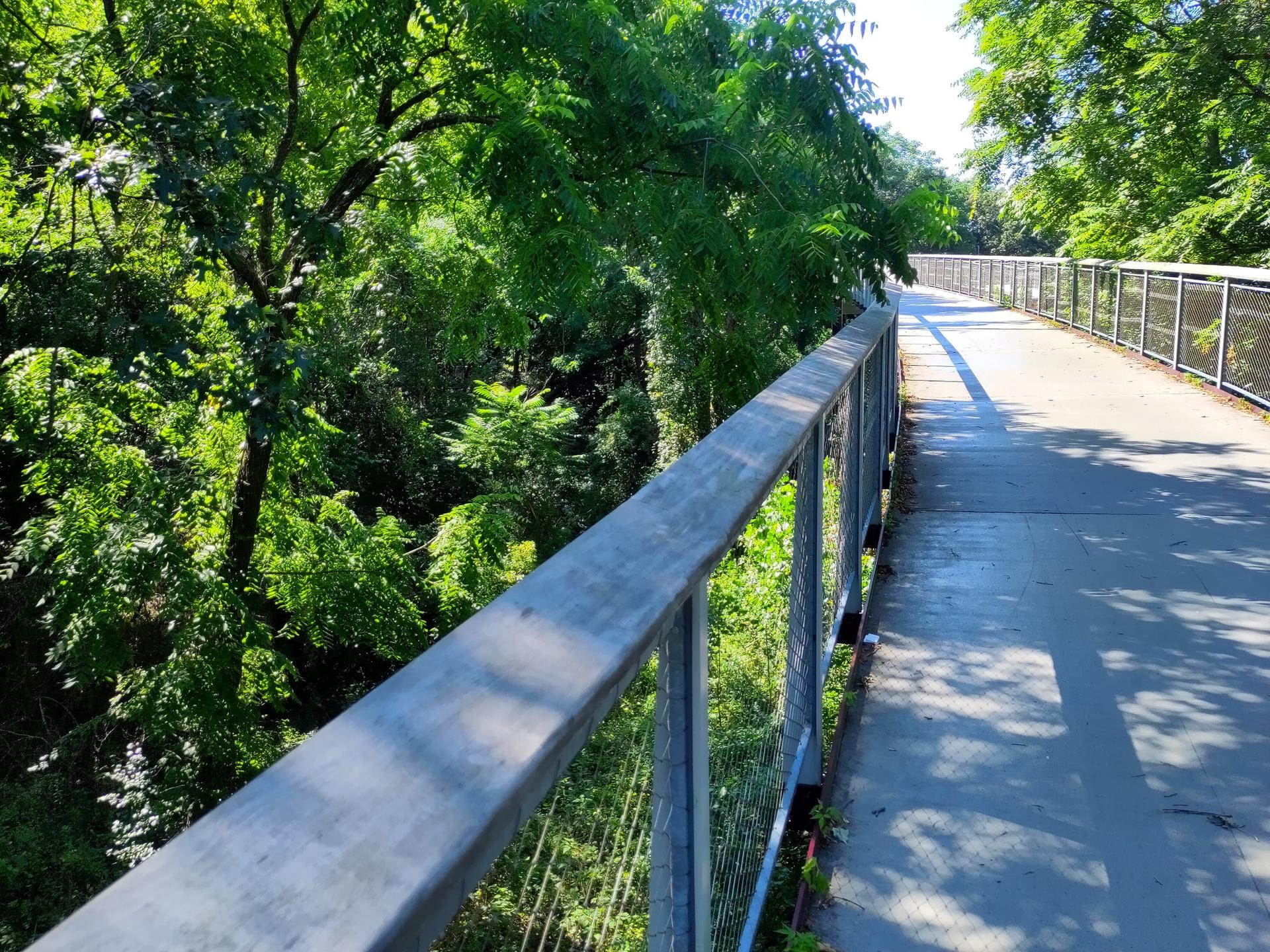 An elevated paved path with railings winds through dense green summer trees.