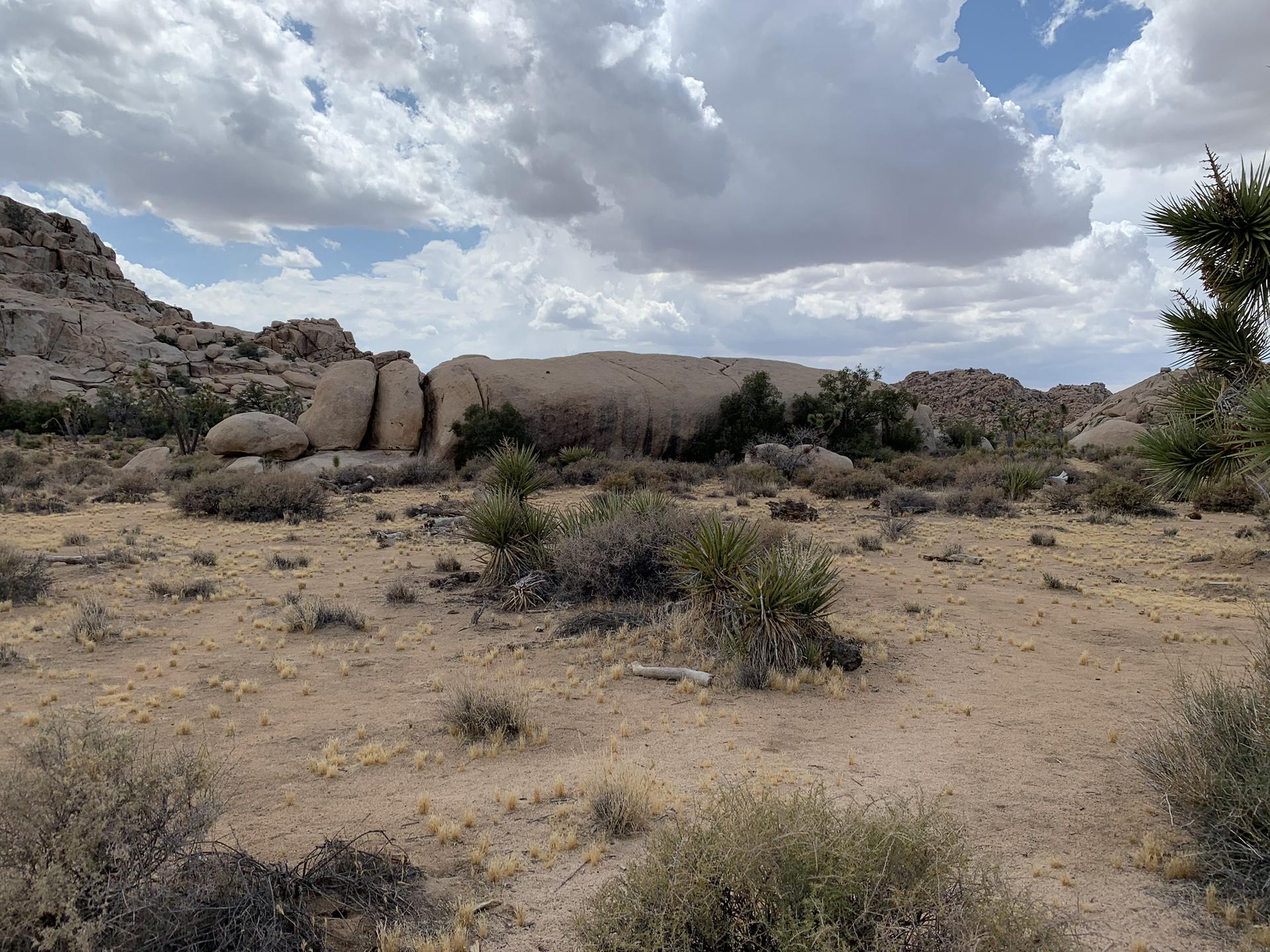 Expansive desert landscape with large rock formations and sparse vegetation under cloudy skies.