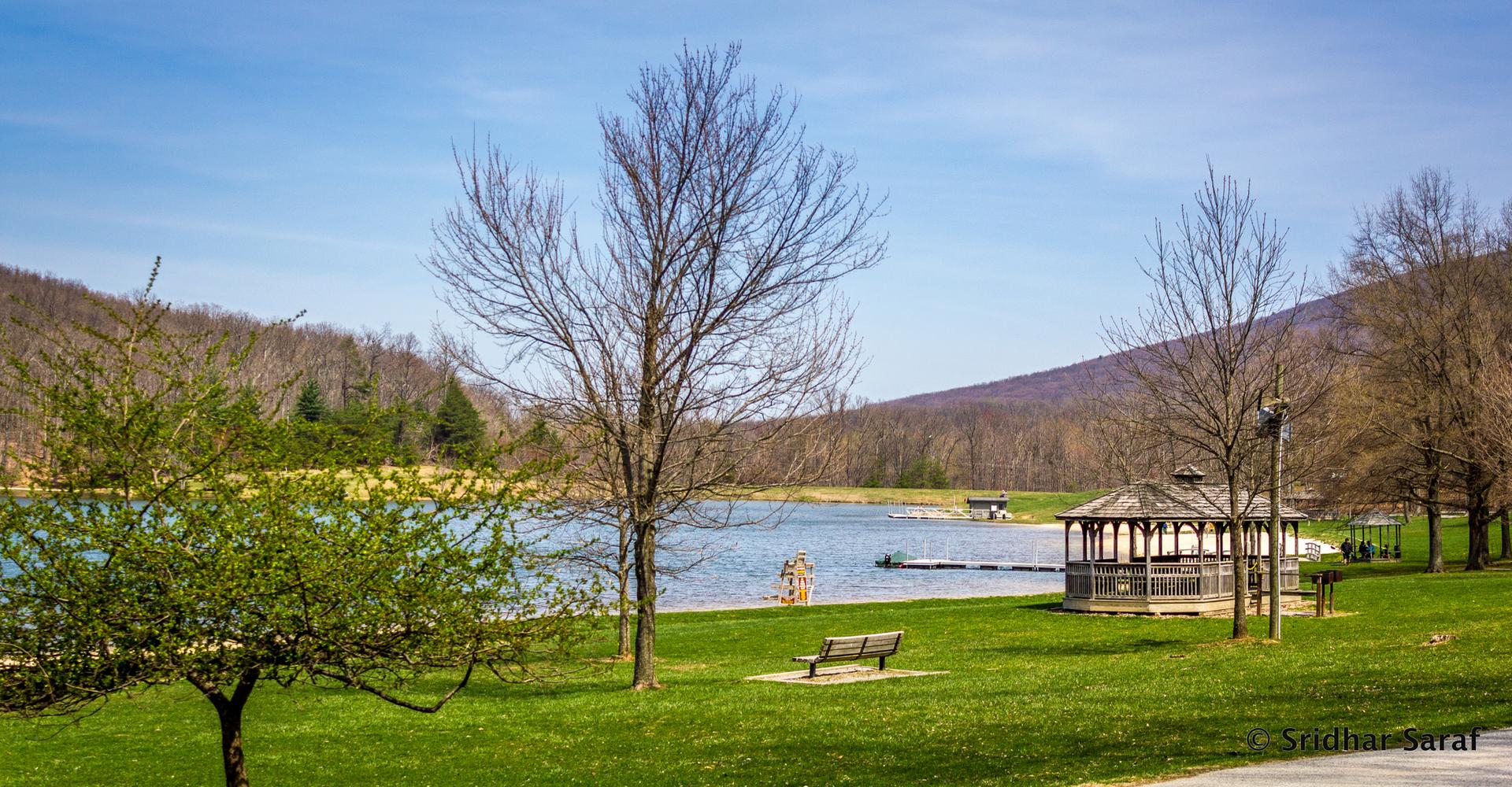 Grassy park with bare trees, a gazebo, and a lake under a blue sky.
