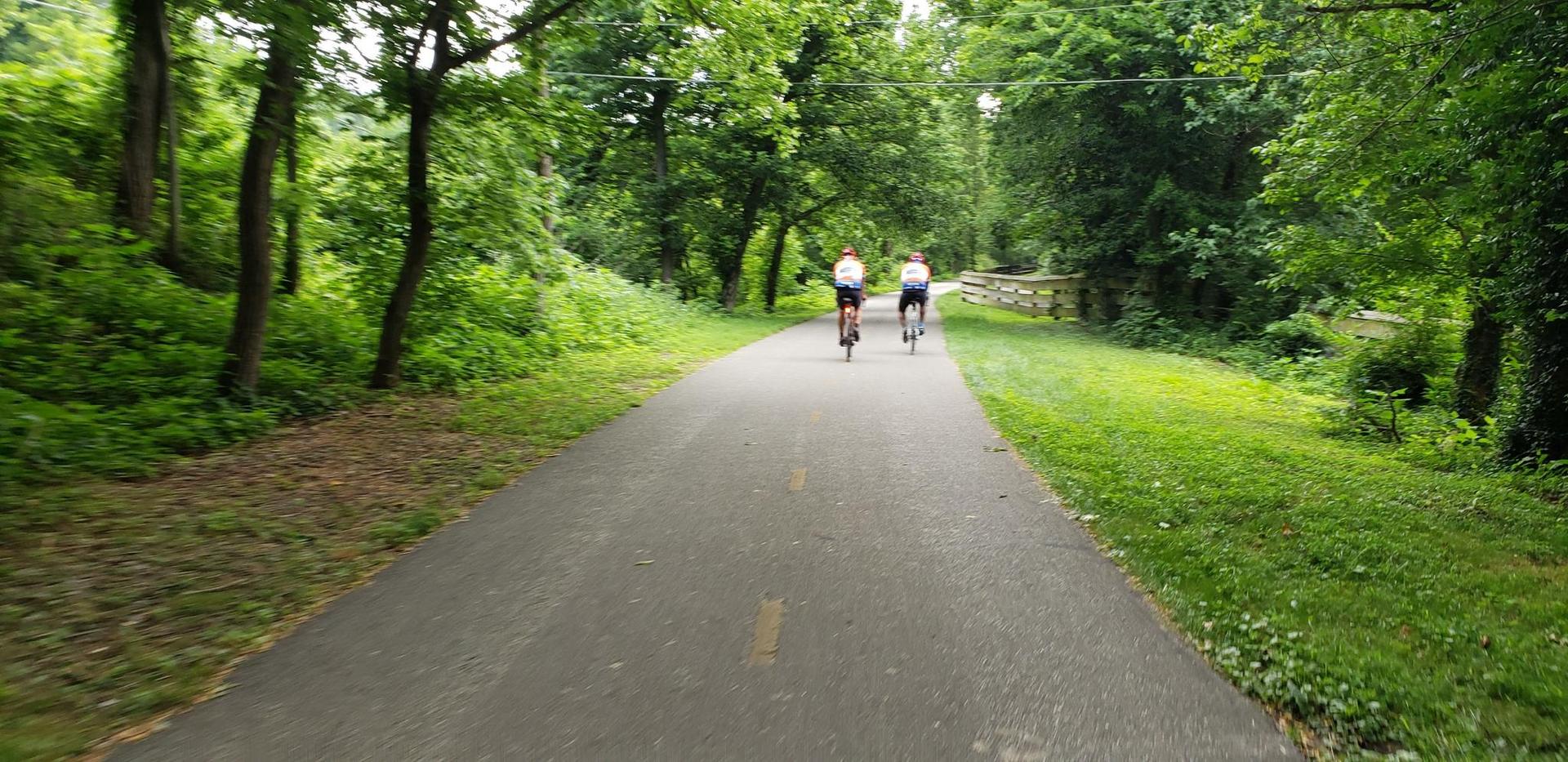 Two cyclists ride on a paved path through a dense green forest.