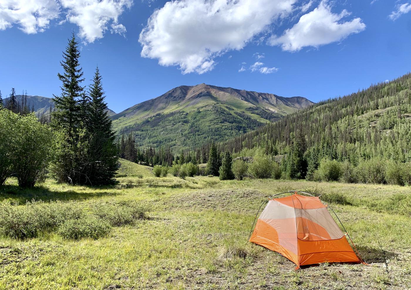 Orange tent in a sunny meadow with pine trees and green mountains.