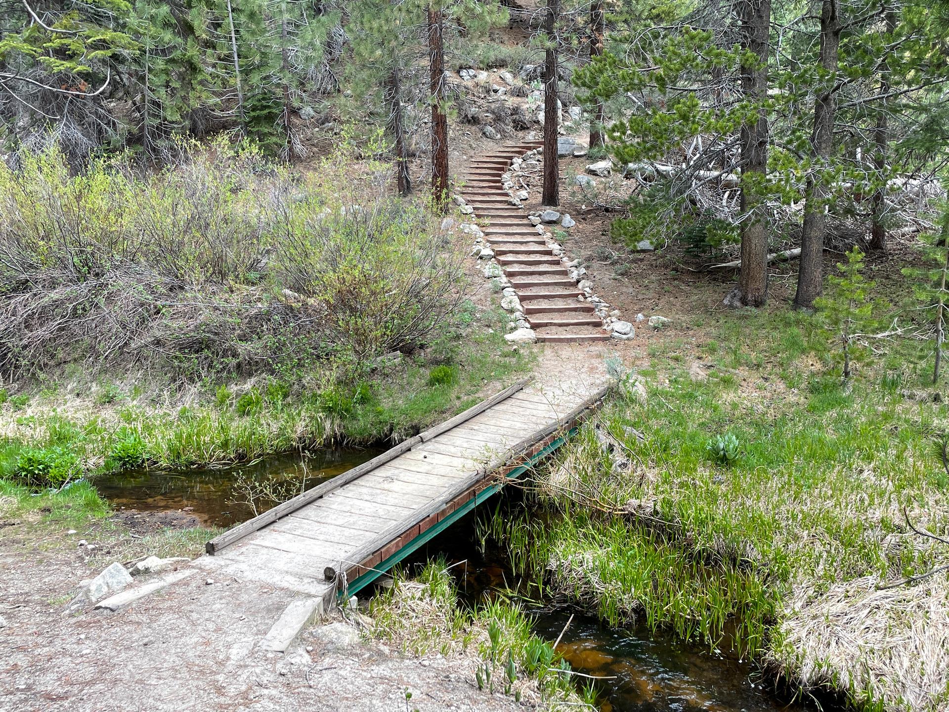 A wooden bridge crosses a stream, leading to wooden stairs in a forest.