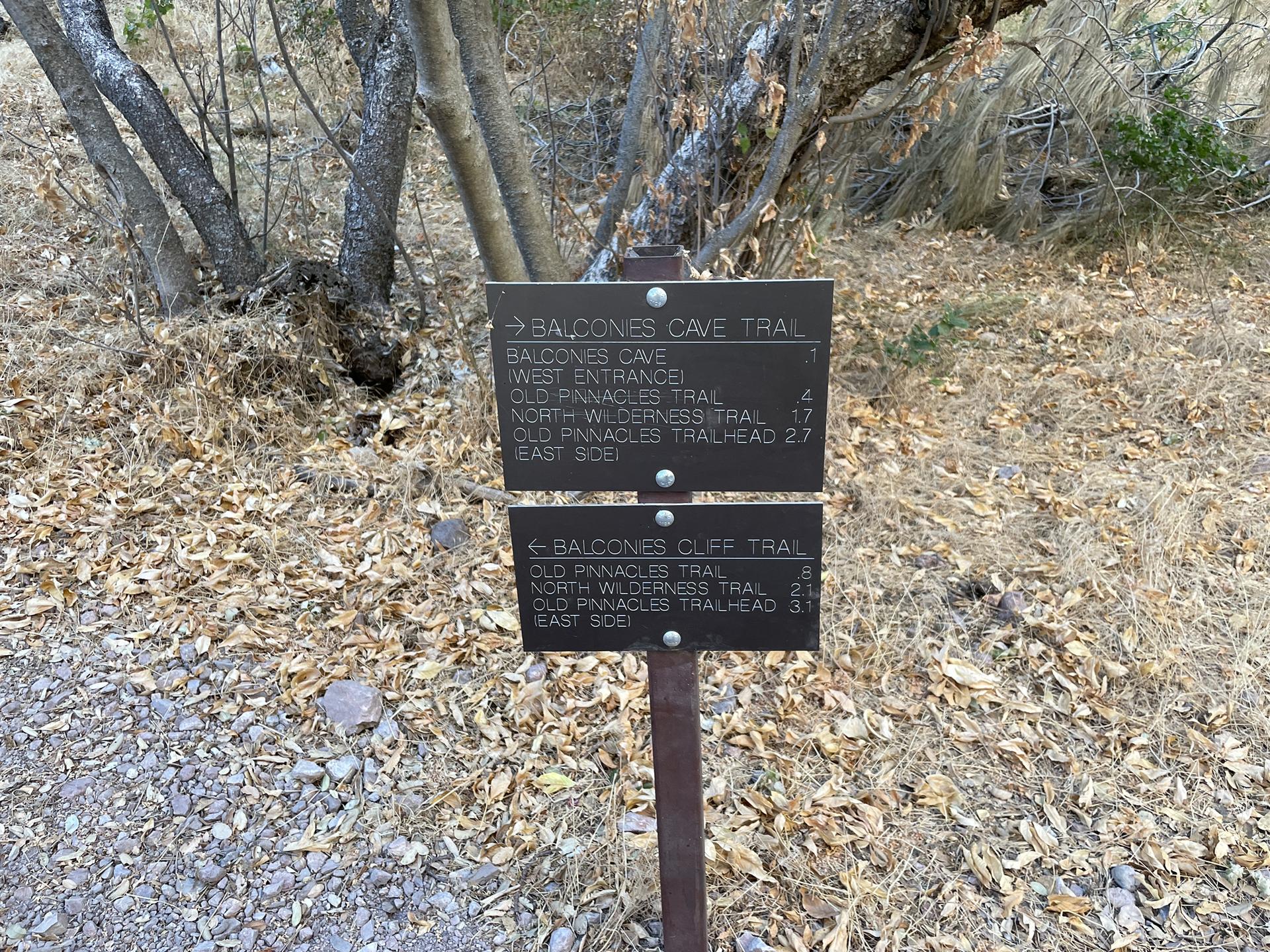 A wooden trail sign with multiple directions stands on a dry, leafy ground.
