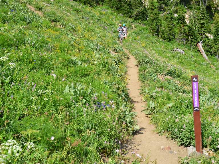 Casper Ridge Loop — Bridger-Teton National Forest | wandeling | Komoot