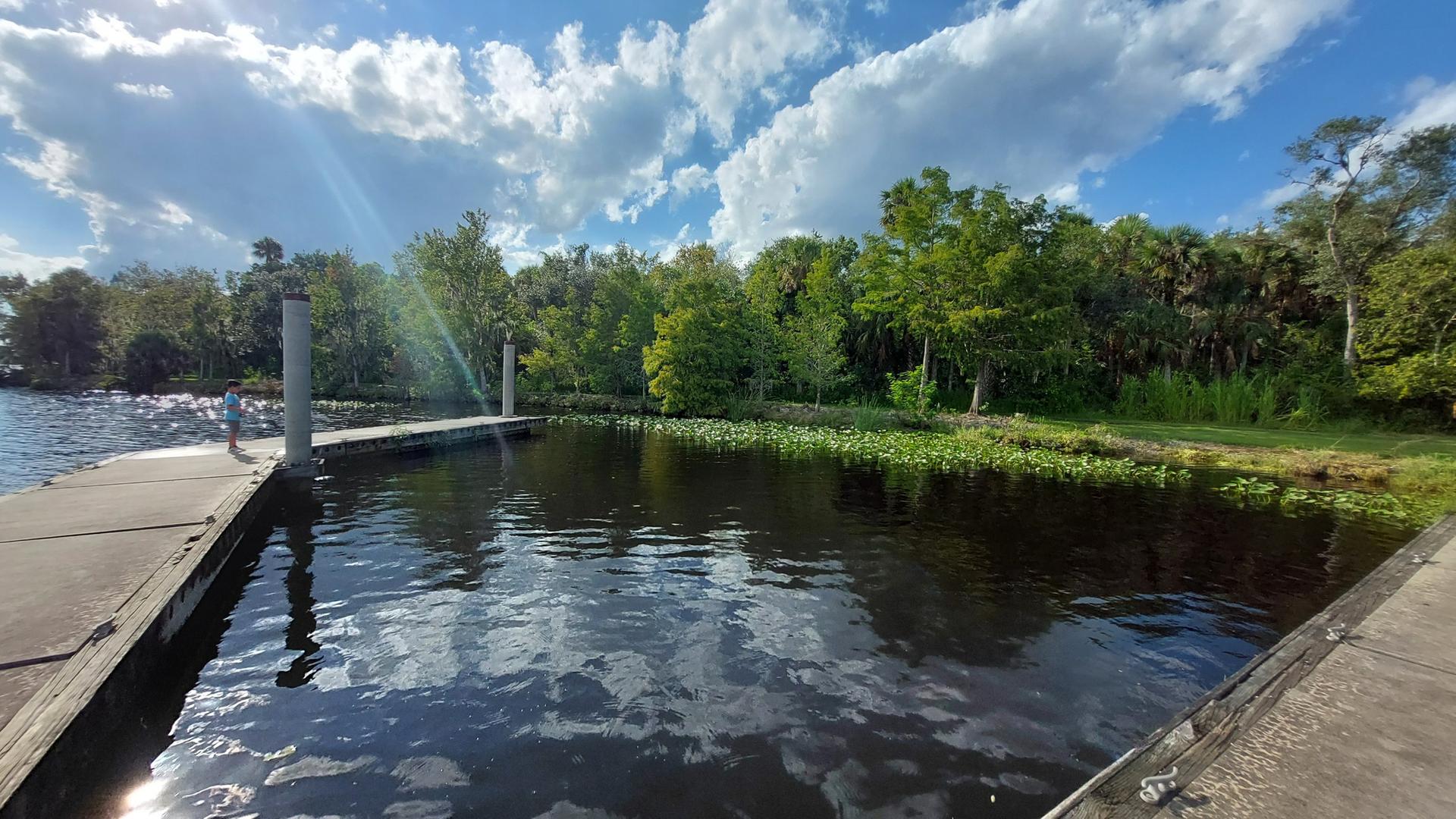 Sunny view of a dock on dark water, lush trees, and a person.