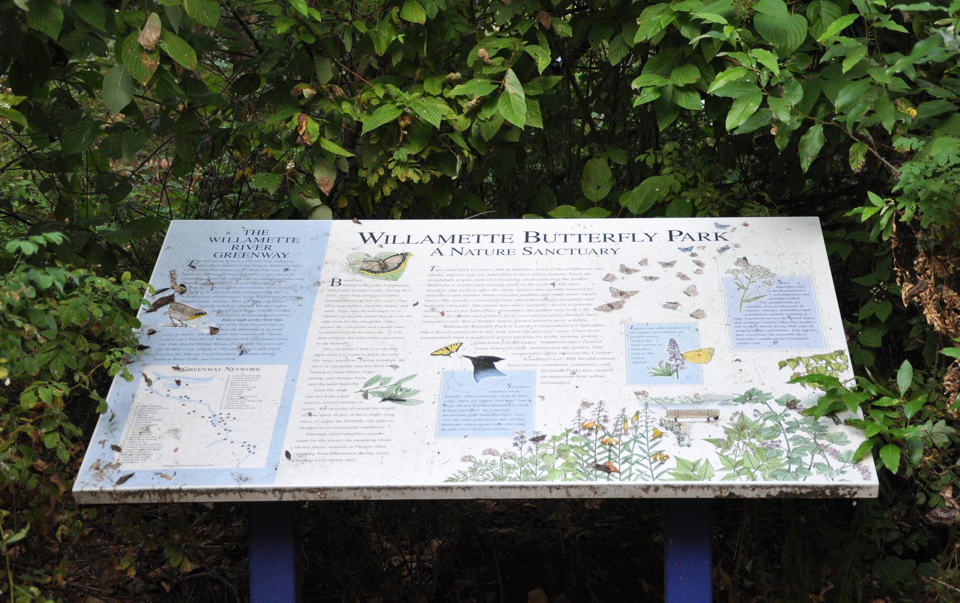 An outdoor informational sign about butterflies, surrounded by lush green leaves.