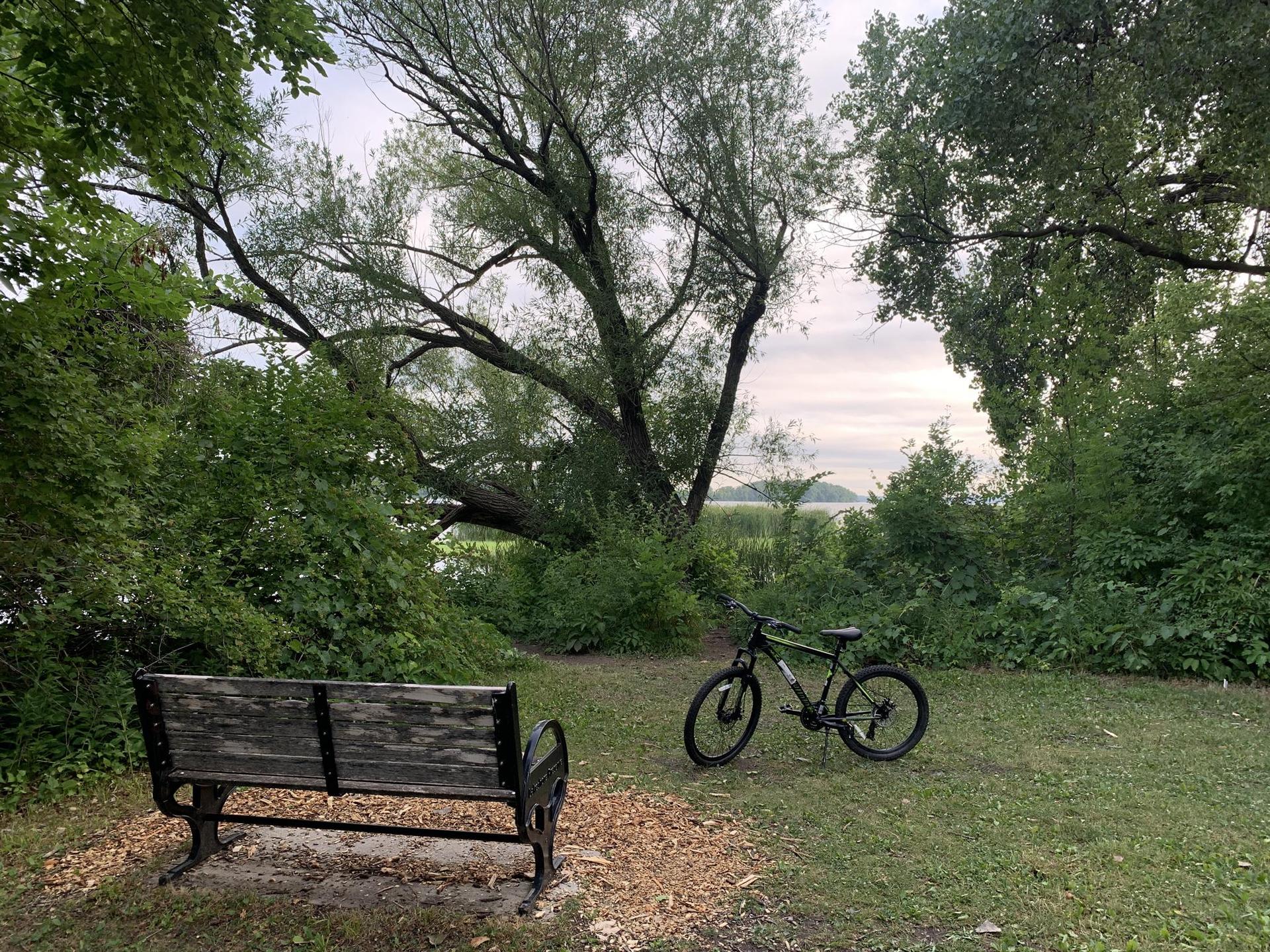 Park bench and bicycle on grass, lush trees, lake in background, overcast.