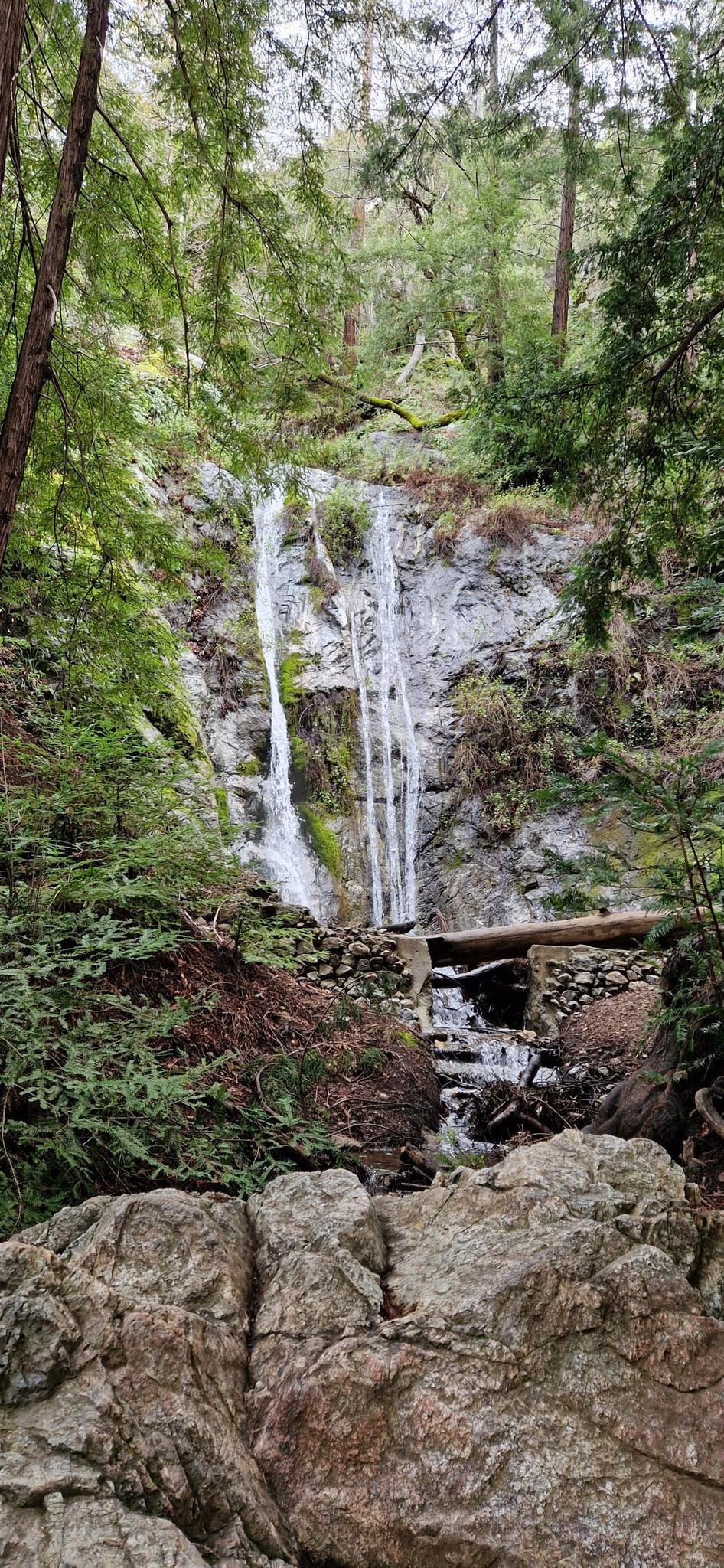 A waterfall cascades over mossy rocks in a lush green forest.